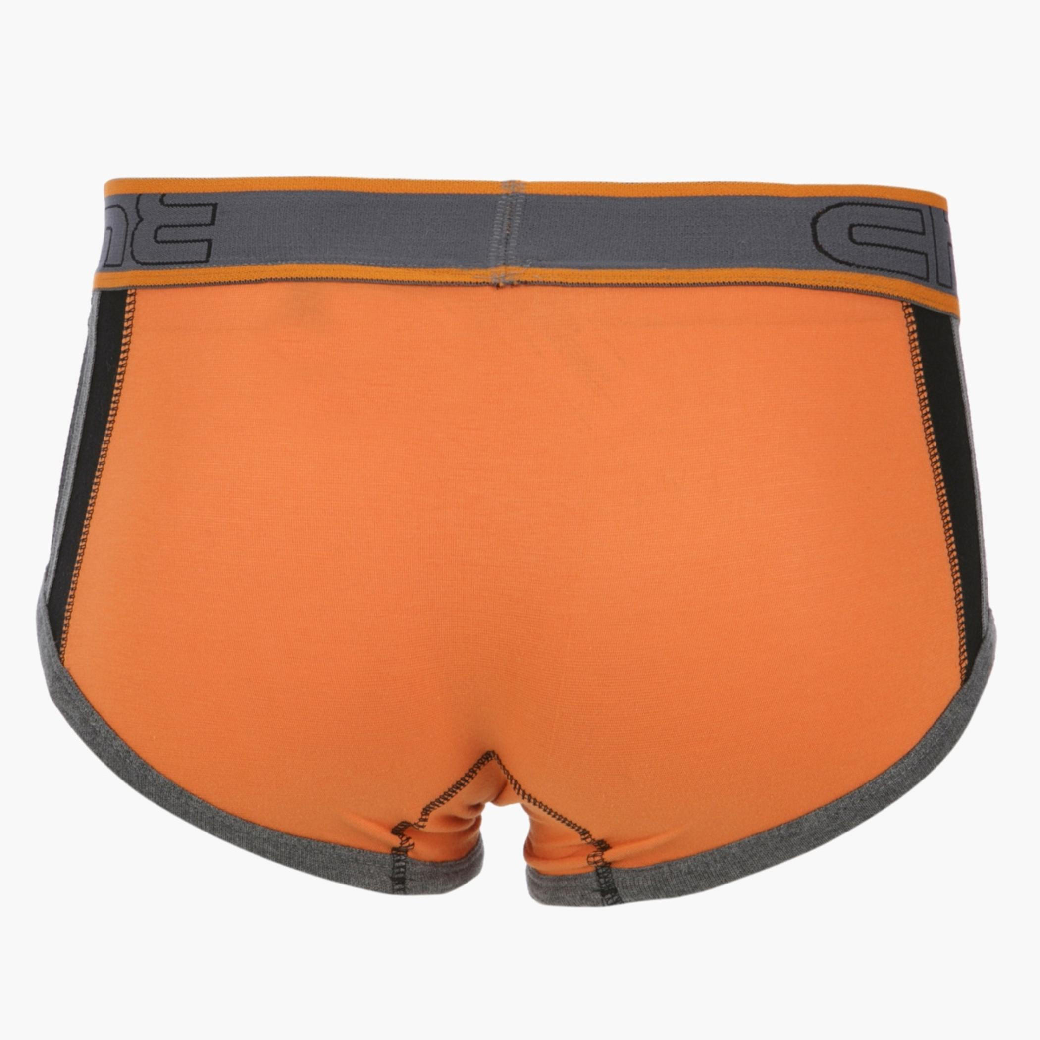 Basic Boxer Briefs-men-clothing-innerwear-underwear-image-2