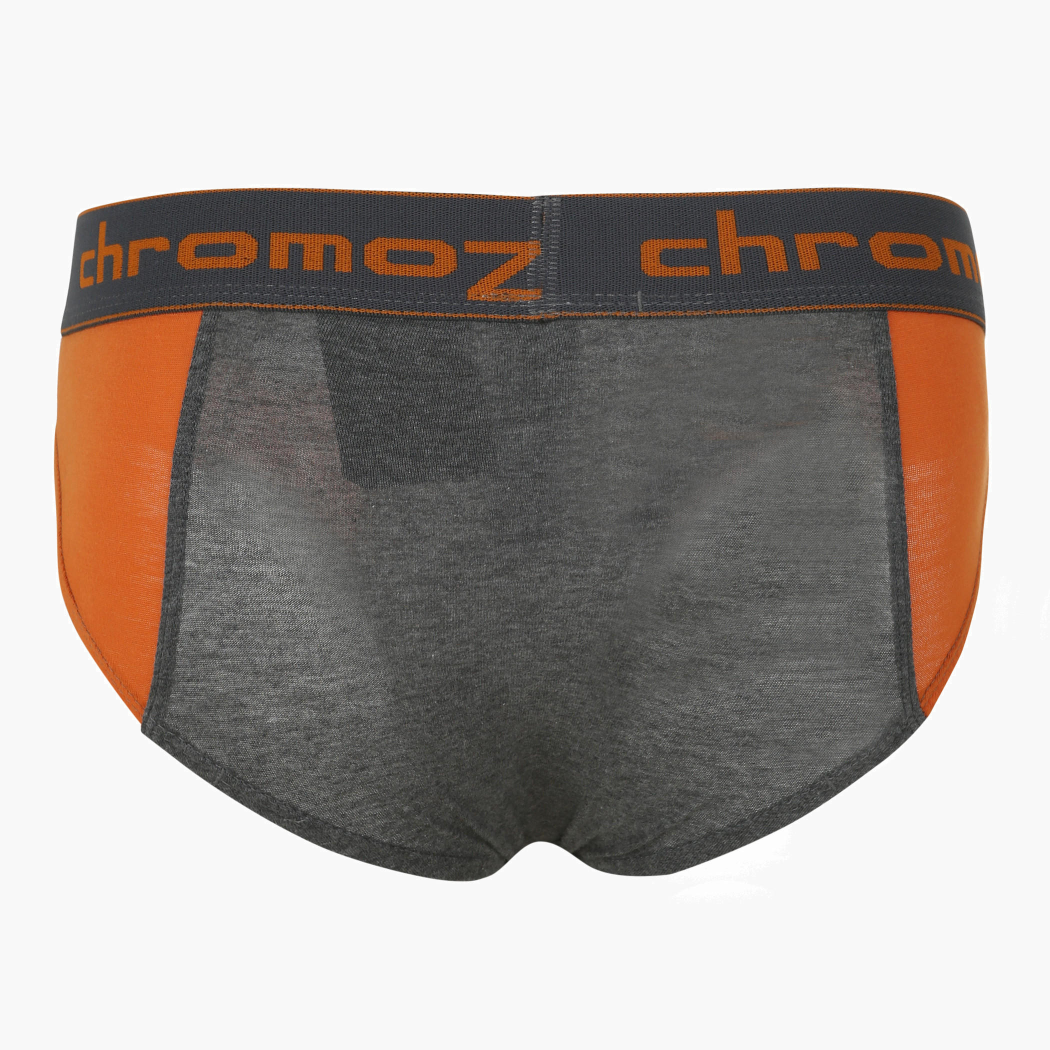 Dual-tone Briefs-men-clothing-innerwear-underwear-image-2