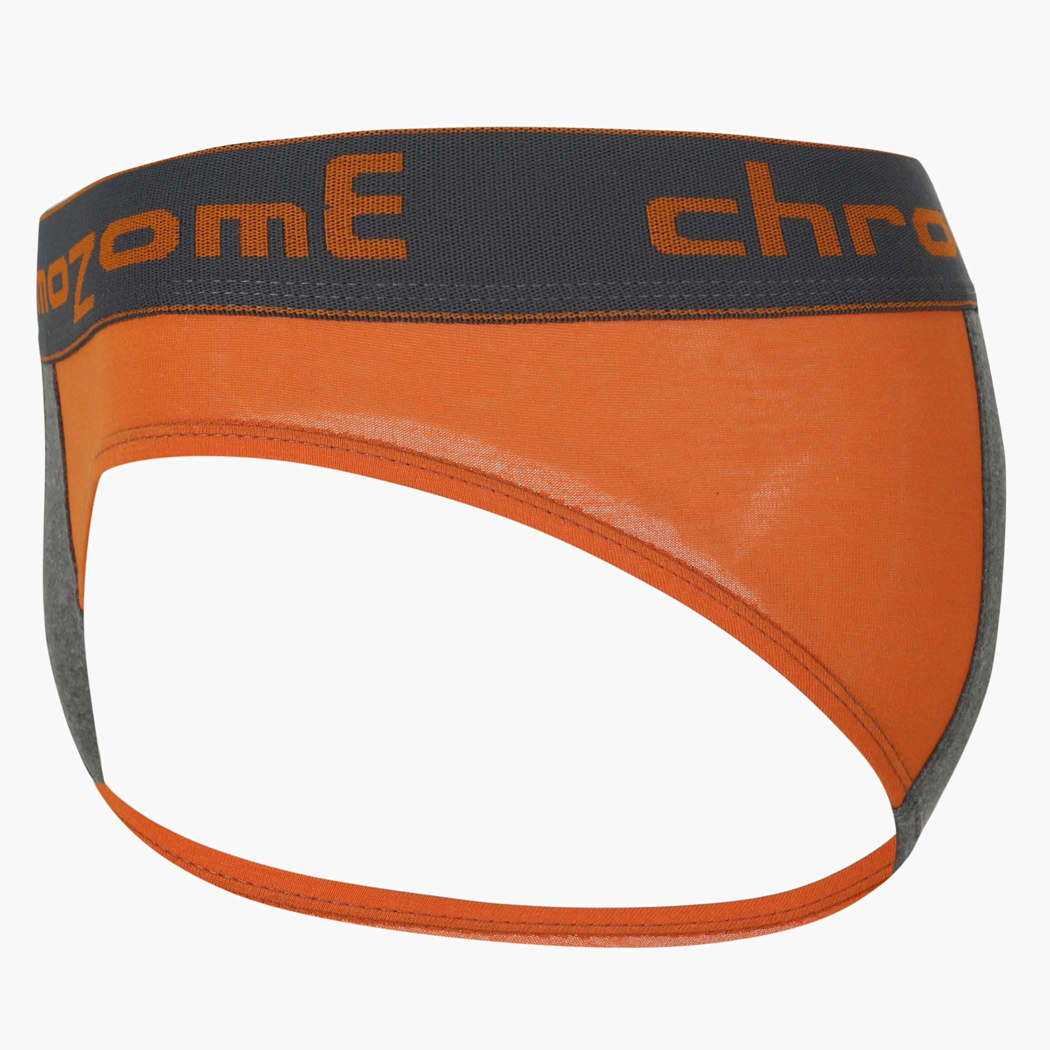 Dual-tone Briefs-men-clothing-innerwear-underwear-image-1