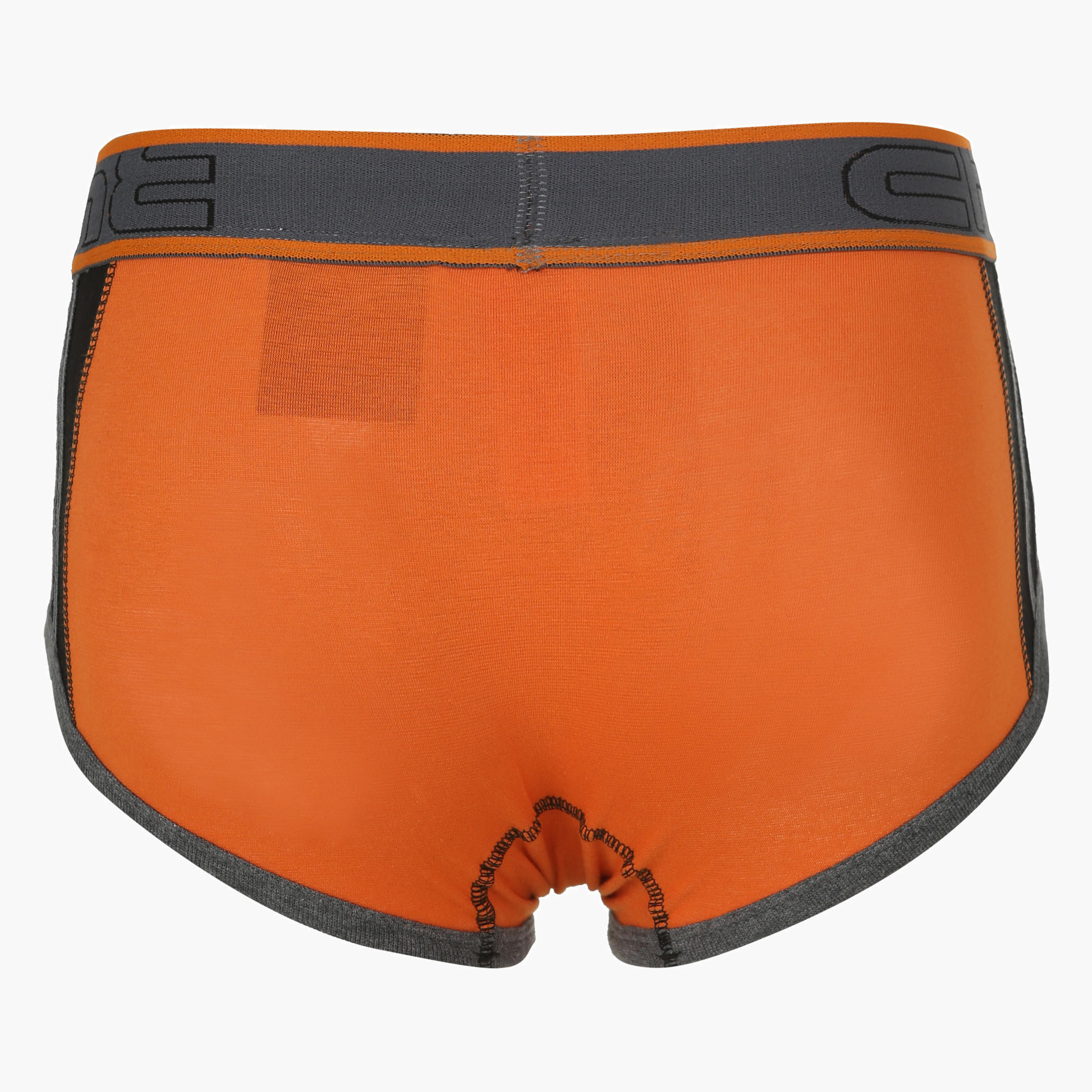 Dual-tone Briefs-men-clothing-innerwear-underwear-image-2