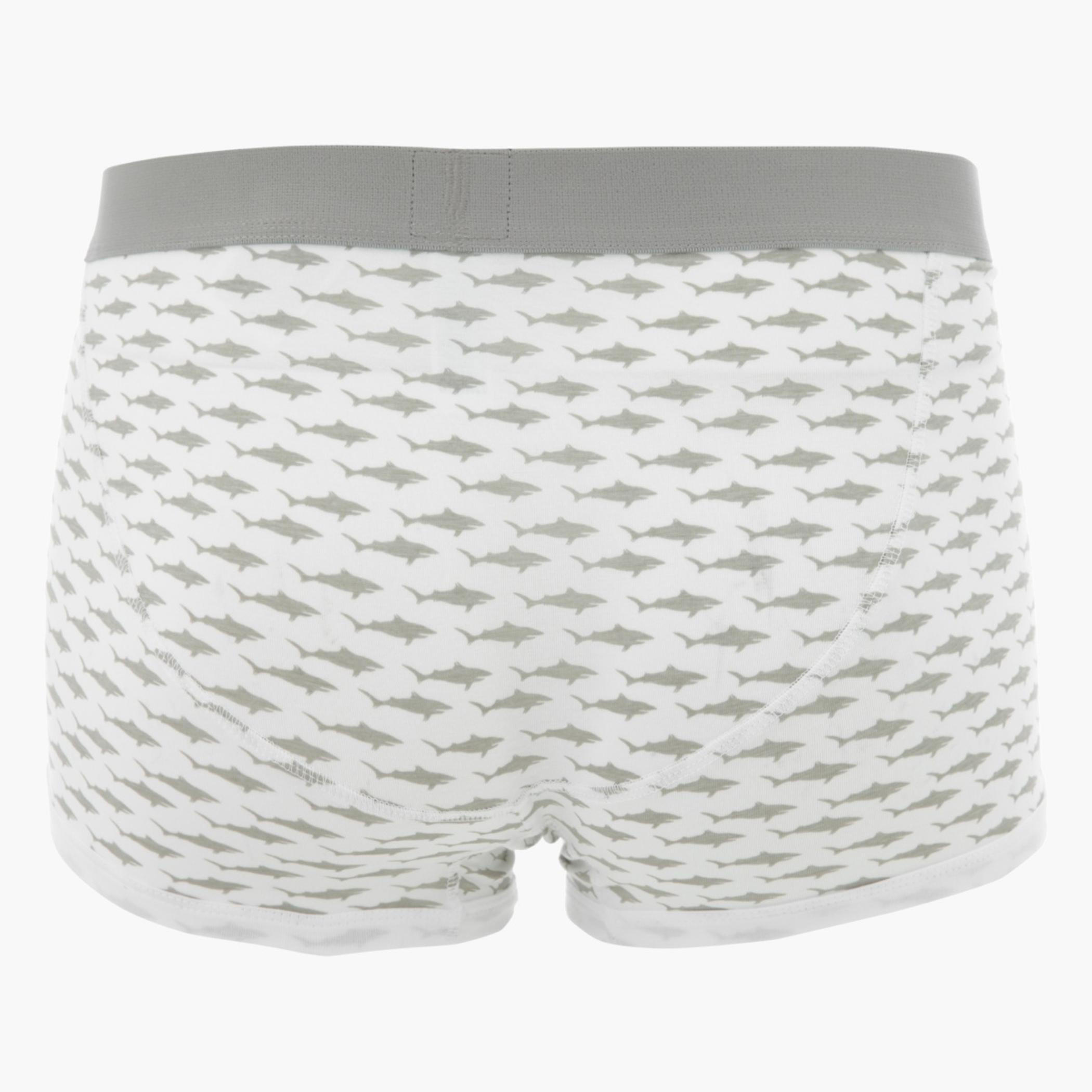 Printed Boxers-men-clothing-innerwear-underwear-image-2
