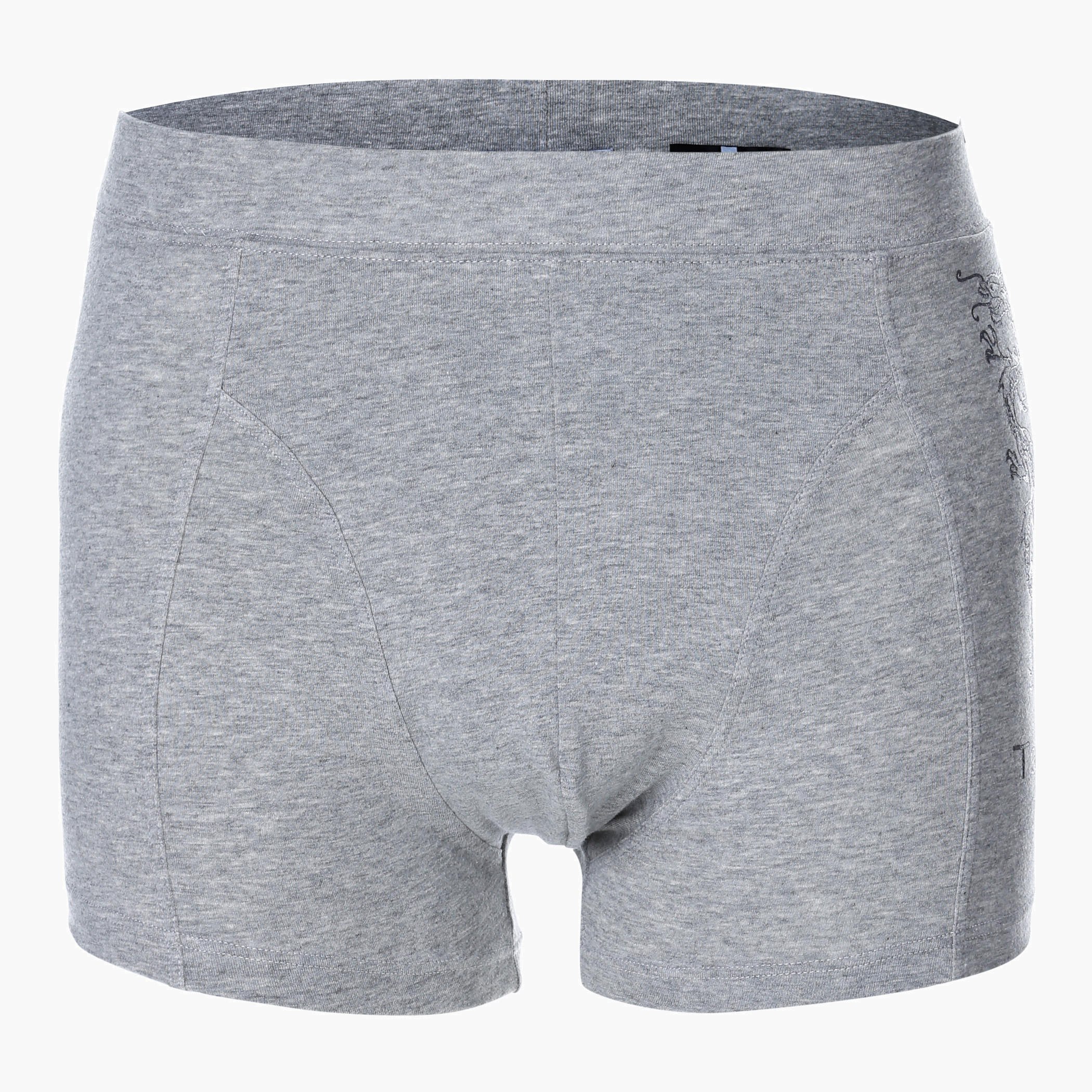 Dragon Print Boxer Brief-men-clothing-innerwear-underwear-image-1