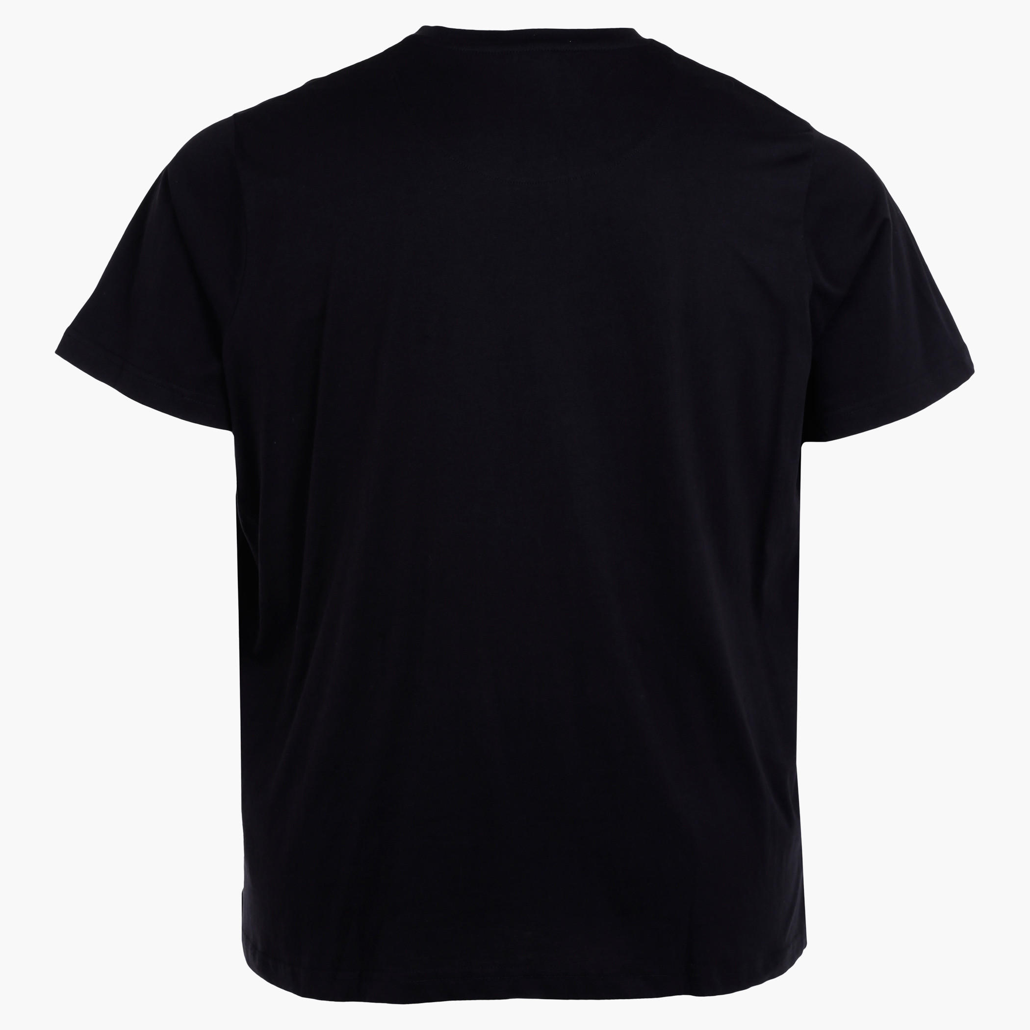 Plus Size T-Shirt with Short Sleeves-men-clothing-tshirtsandpolos-tshirts-image-2