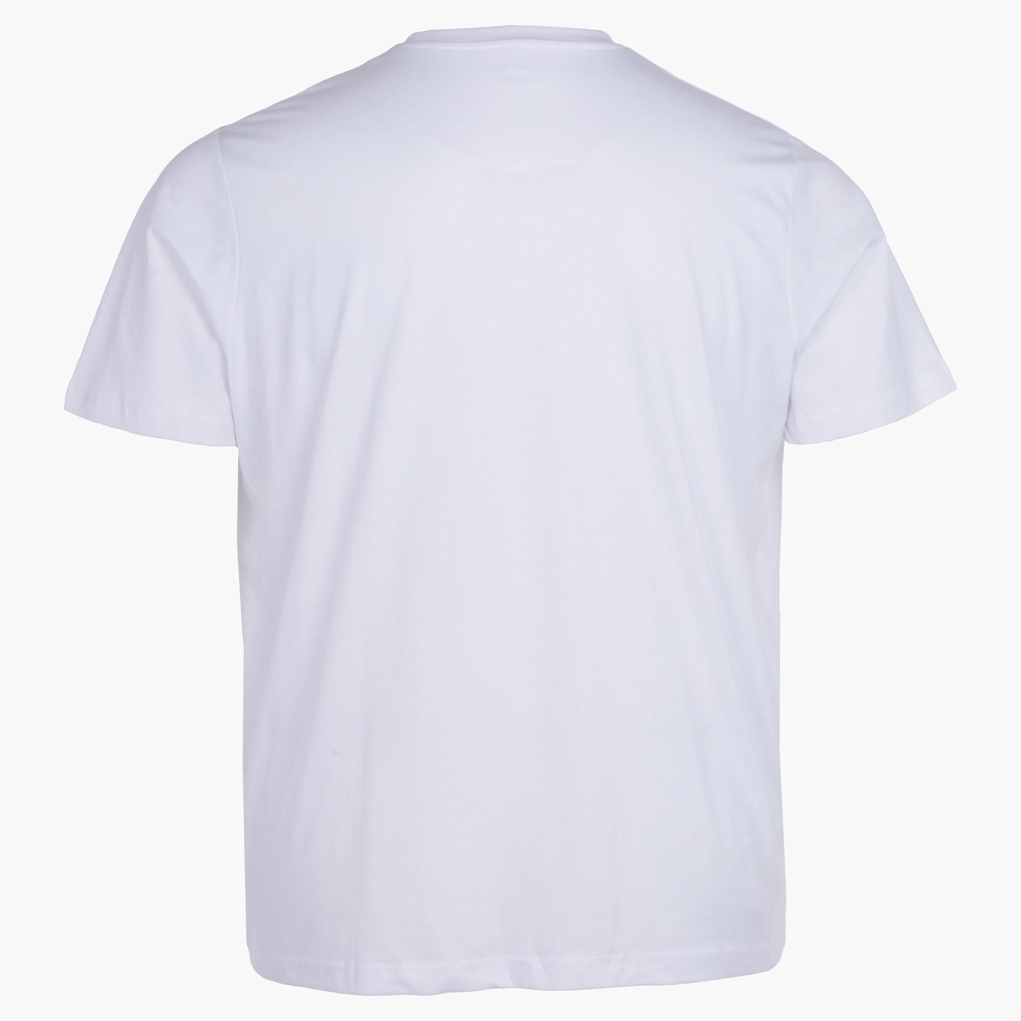 Plus Size T-Shirt with Short Sleeves-men-clothing-tshirtsandpolos-tshirts-image-2