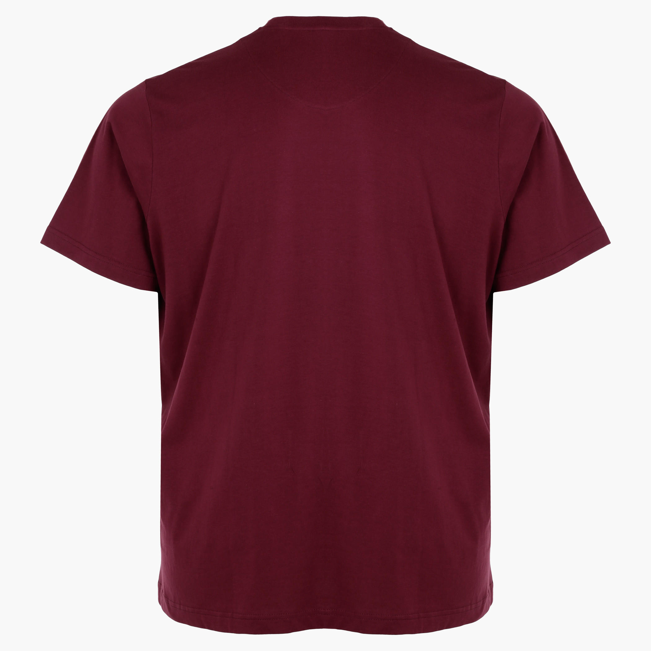 Plus Size T-Shirt with Short Sleeves-men-clothing-tshirtsandpolos-tshirts-image-2