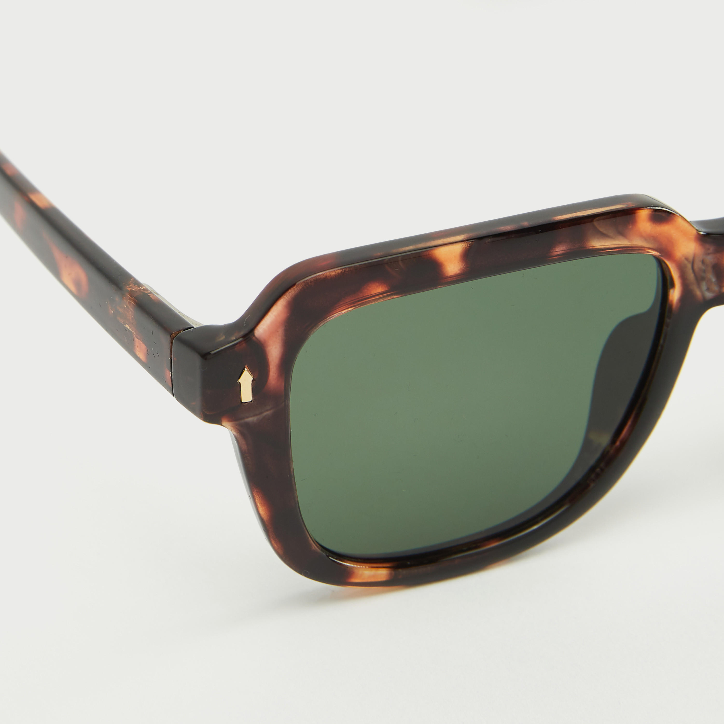 Tinted Sunglasses with Animal Print Frame-men-sunglasses-image-4