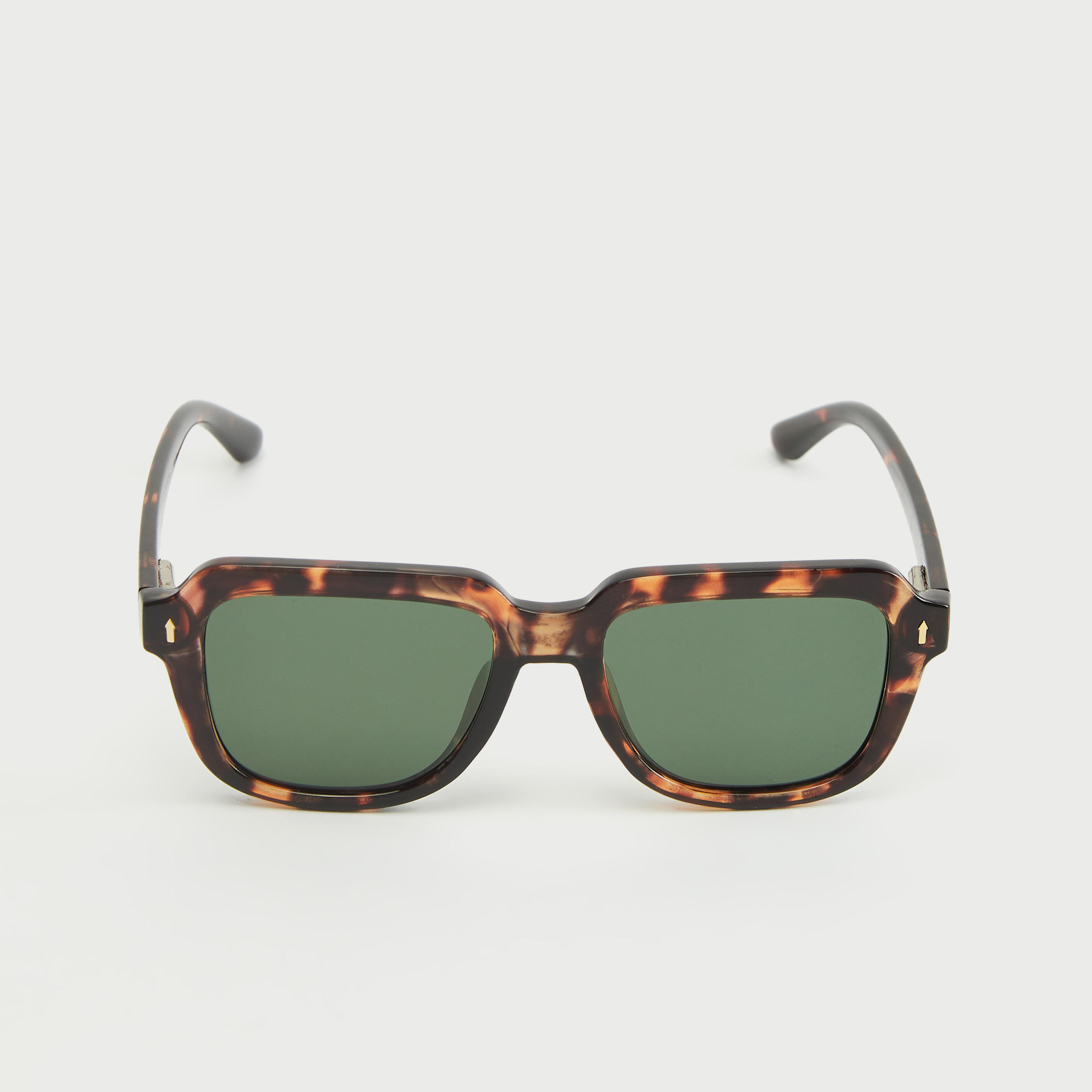 Tinted Sunglasses with Animal Print Frame-men-sunglasses-image-5