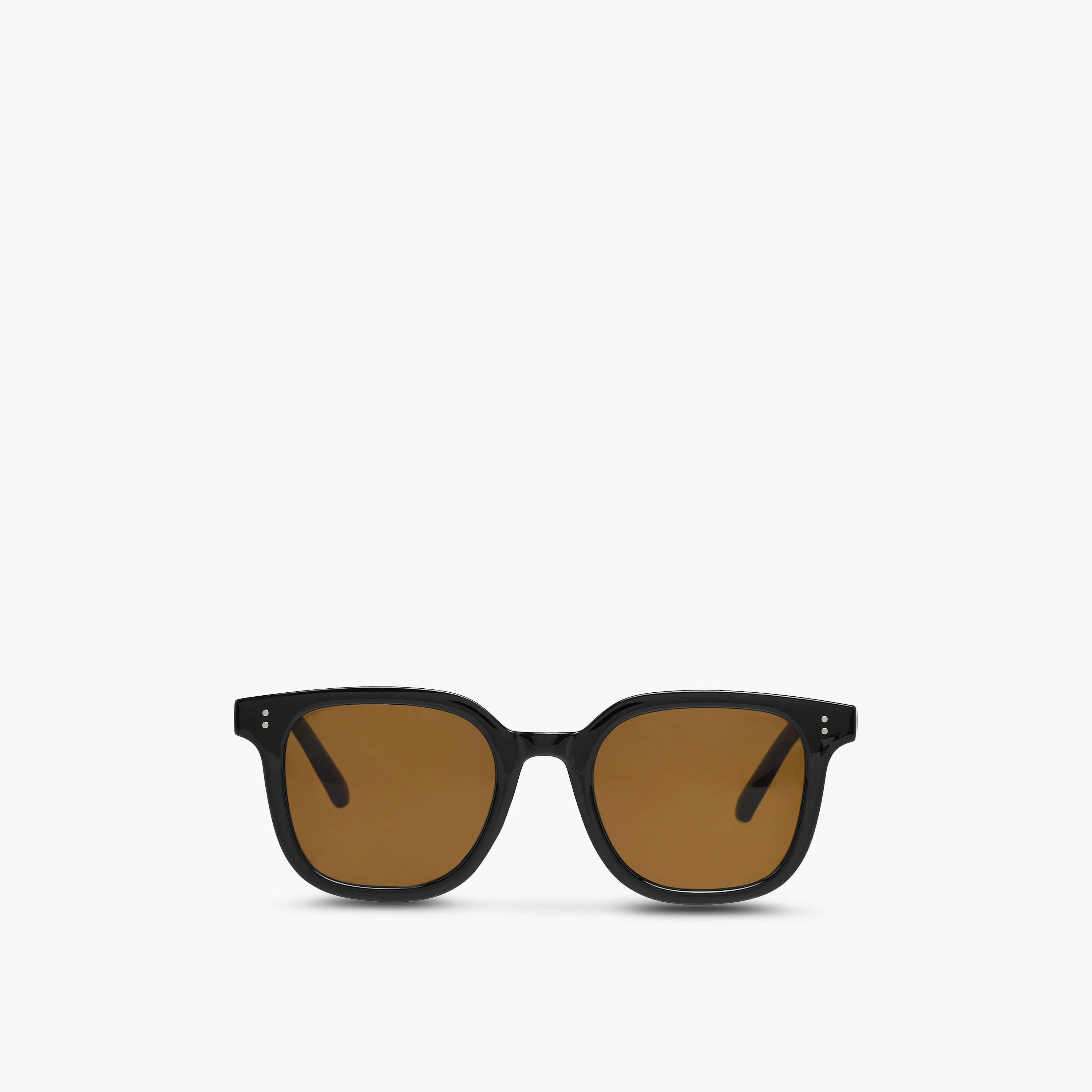 Men Brown Lens Sunglasses-men-sunglasses-image-3