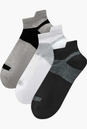Men Socks Ankle Length Half Terry - Set of 3-men-socks-image-1