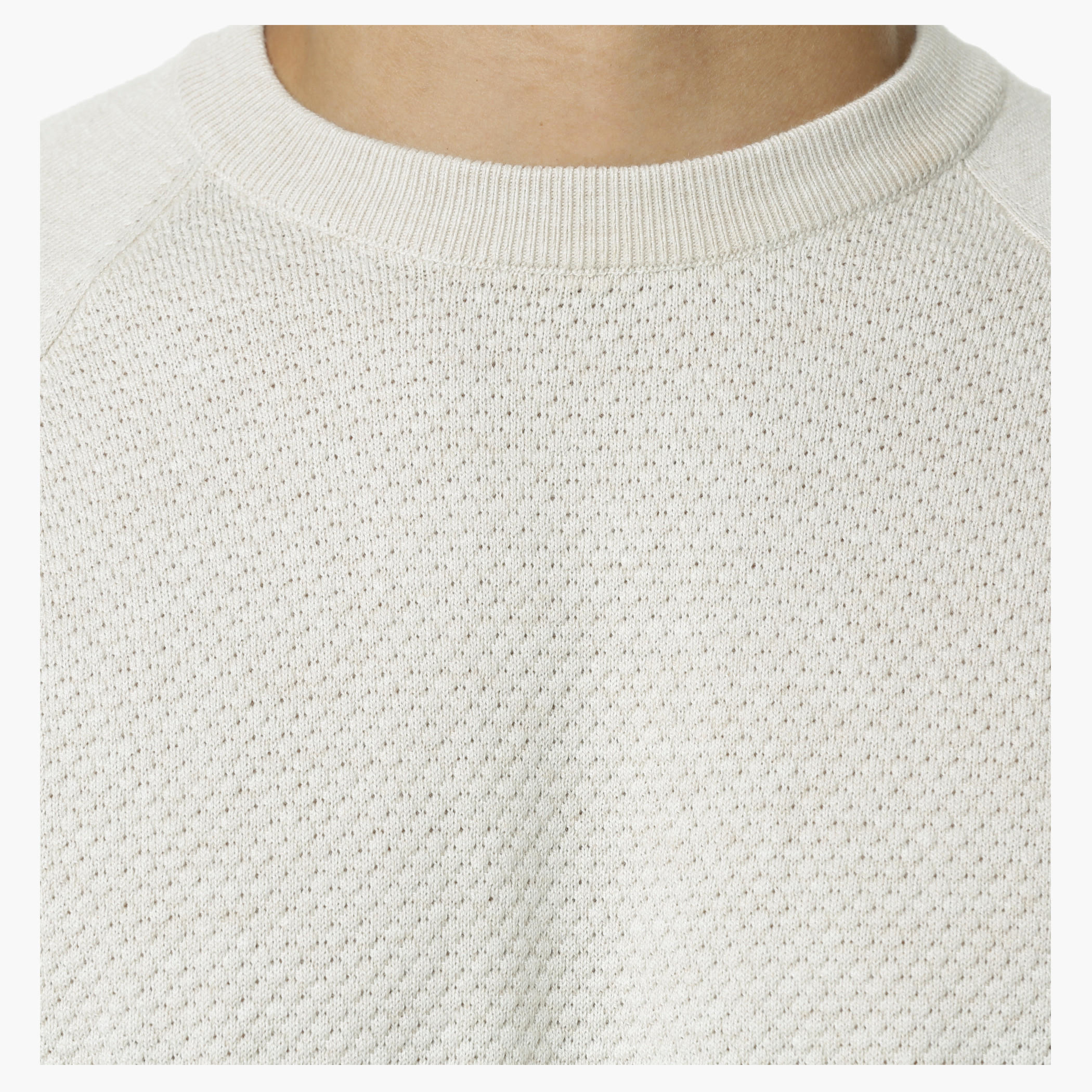 Textured Round Neck Sweater with Raglan Sleeves-men-clothing-sweatersandpullovers-image-5
