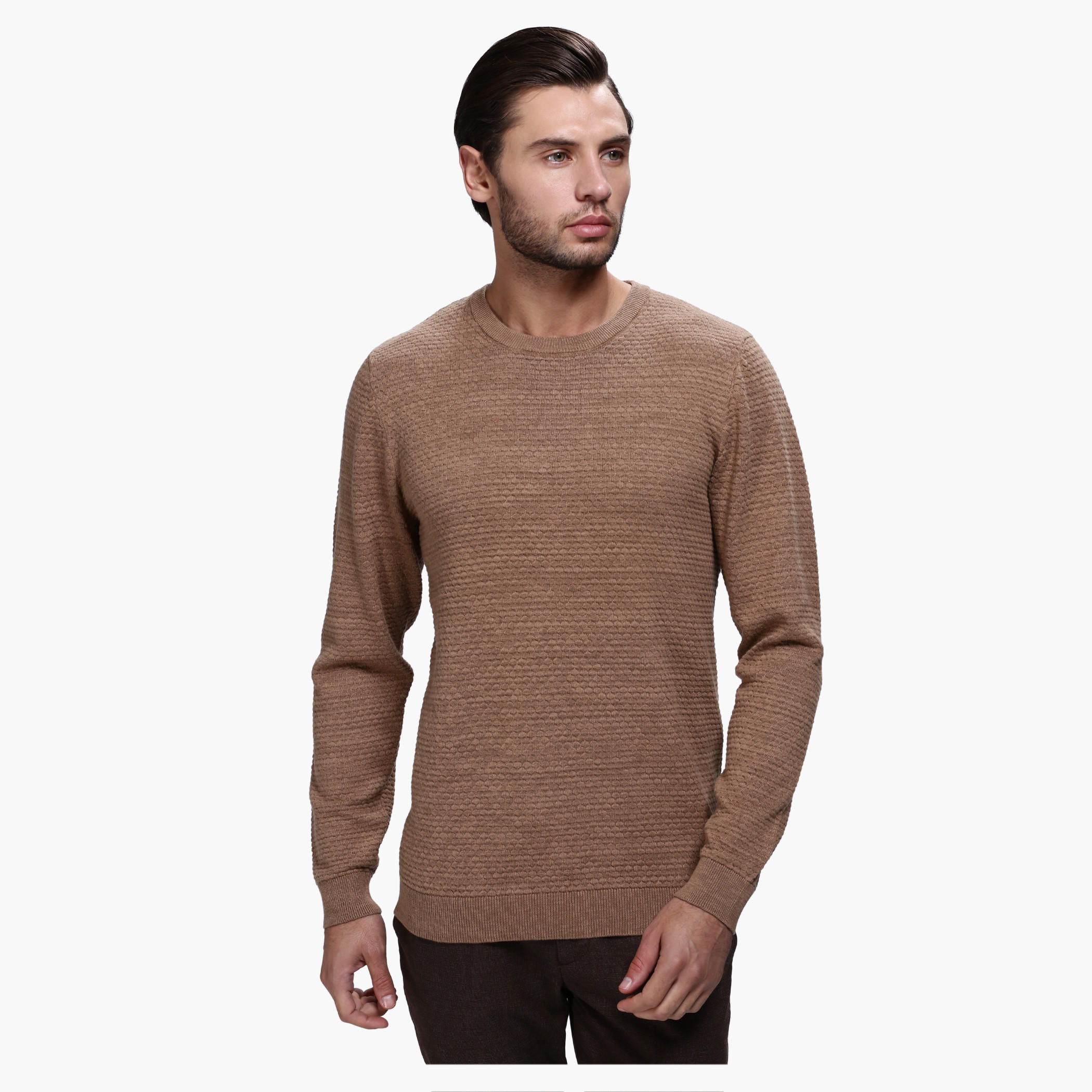 Melange Round Neck Sweater with Long Sleeves in Regular Fit-men-clothing-sweatersandpullovers-image-6