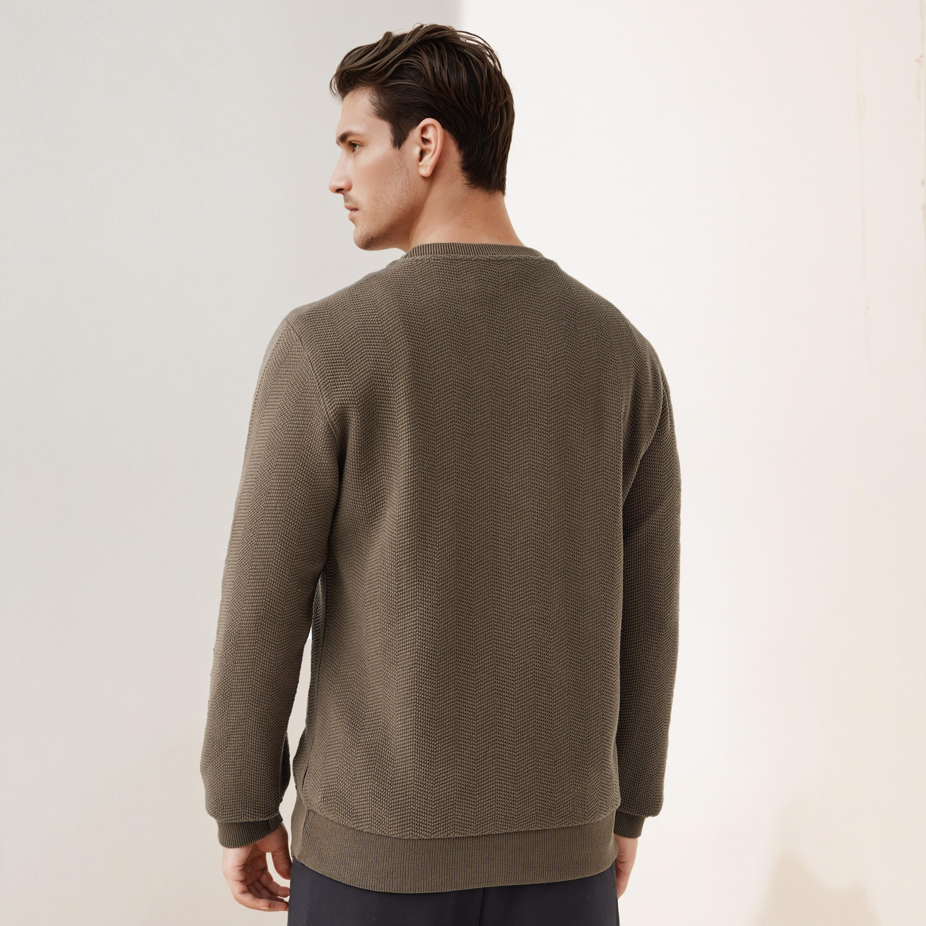 سويت شيرت بارز الملمس بياقة ضيقة-men-winterwear-hoodiesandsweatshirts-image-3