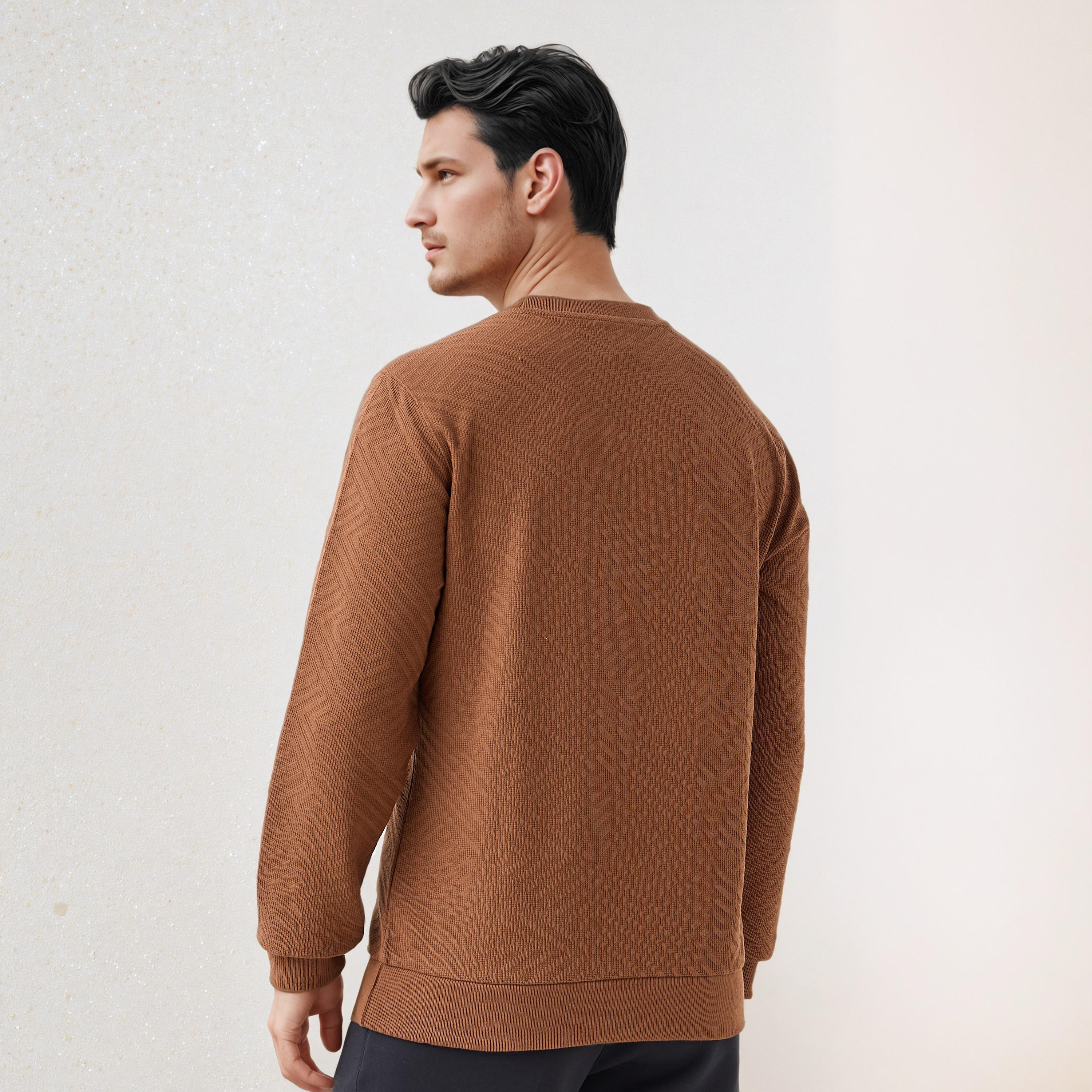Textured Jacquard Sweatshirt with Crew Neck-men-winterwear-hoodiesandsweatshirts-image-3