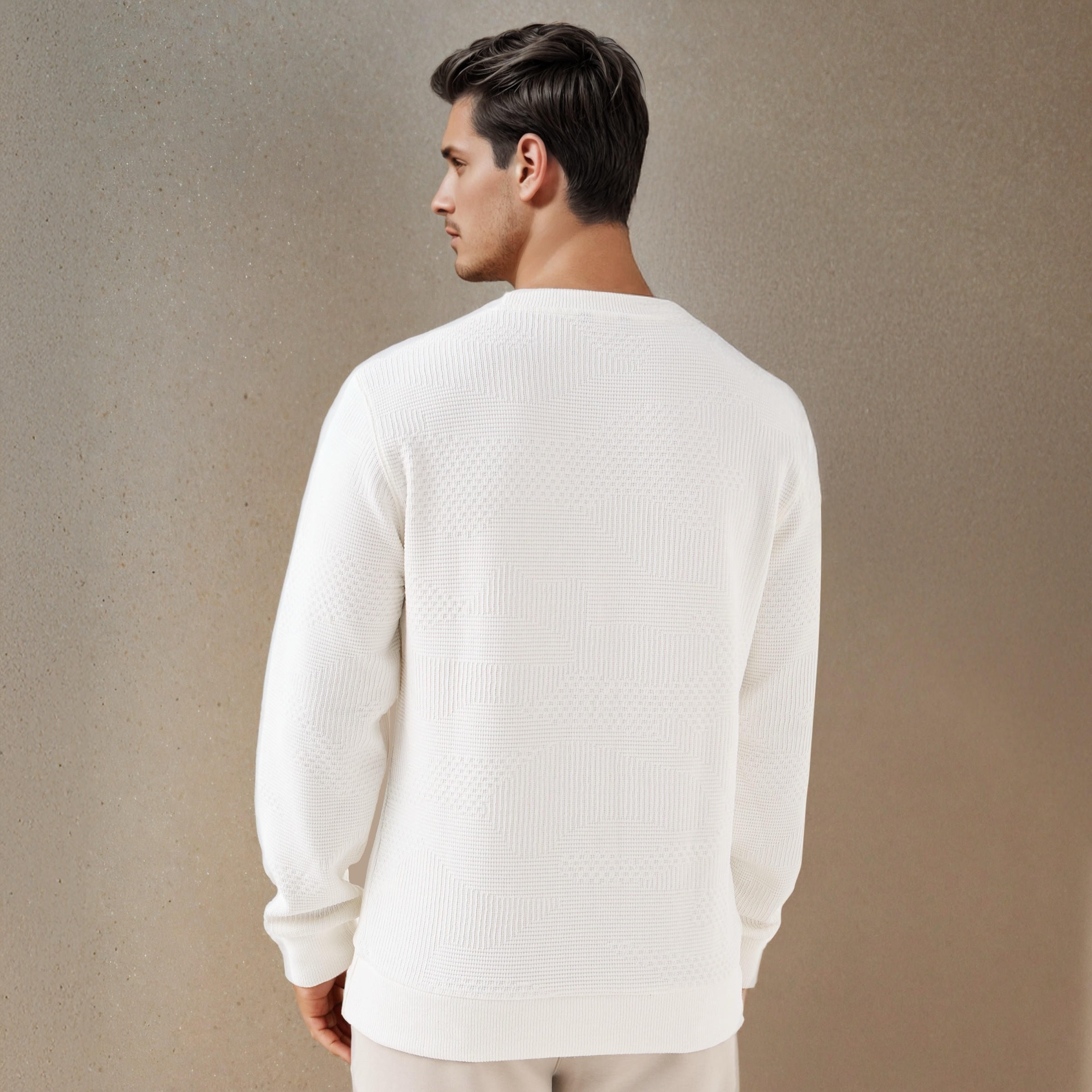 Textured Jacquard Sweatshirt with Crew Neck-men-winterwear-hoodiesandsweatshirts-image-5