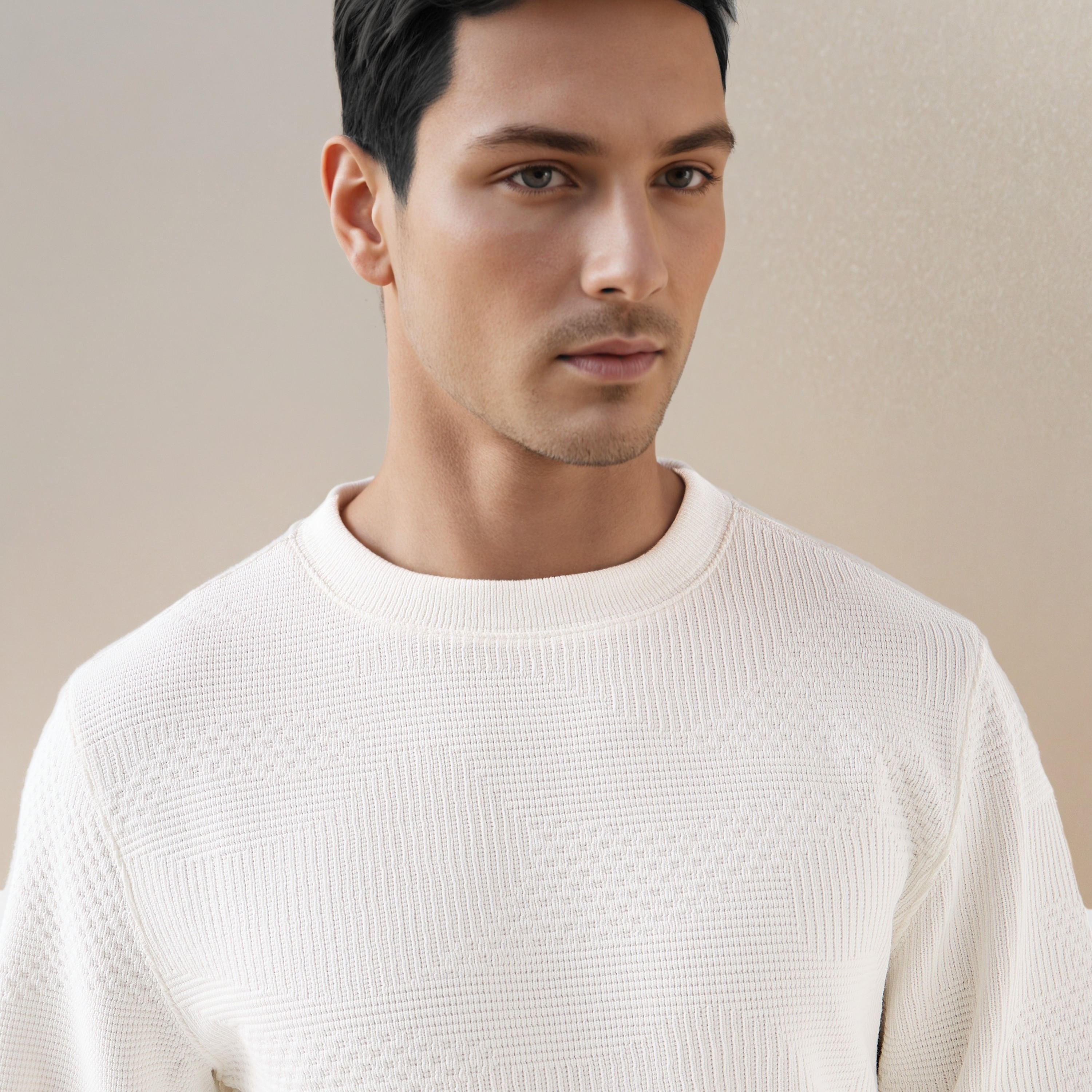 Textured Jacquard Sweatshirt with Crew Neck-men-winterwear-hoodiesandsweatshirts-image-6
