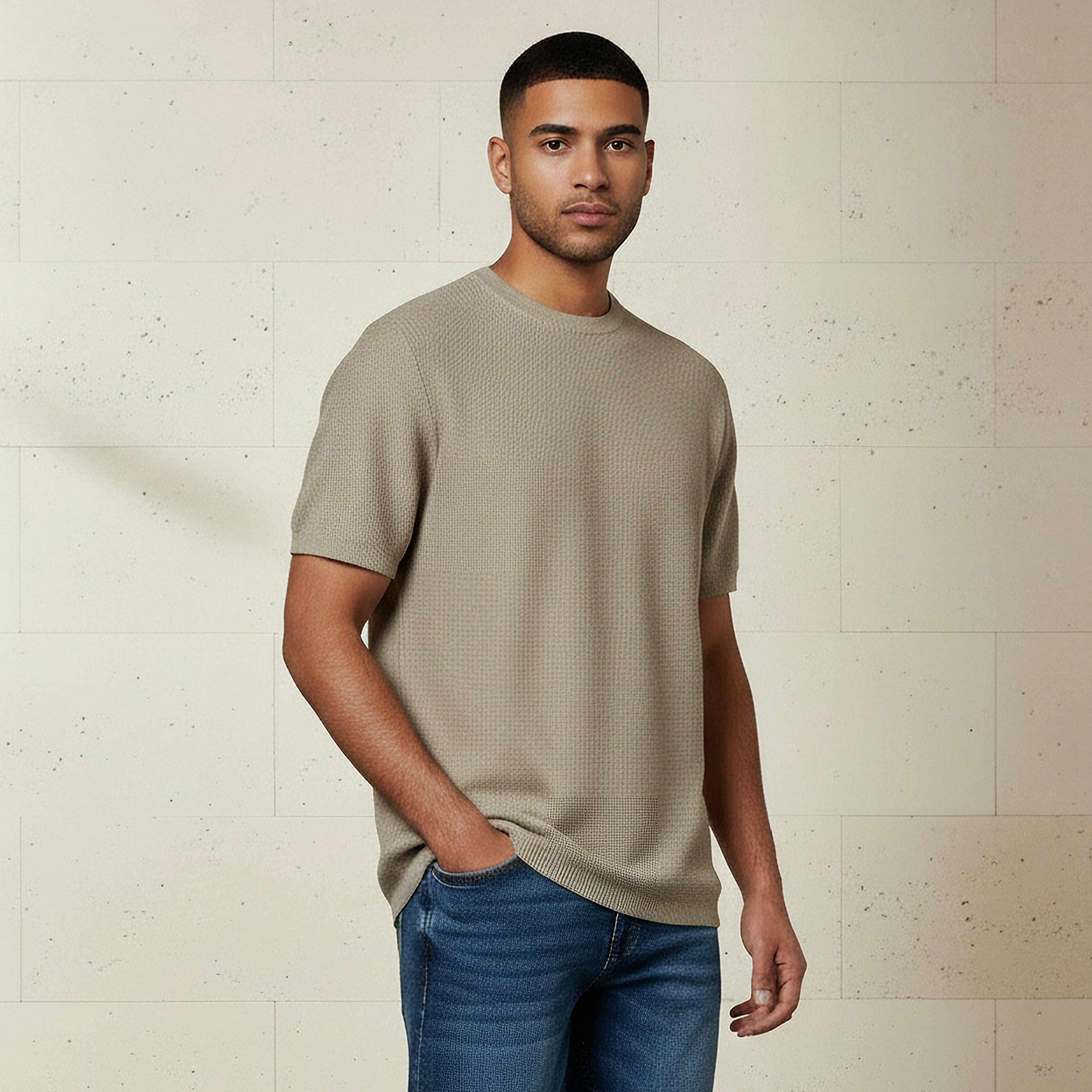 Men Regular Fit Crew Neck Short Sleeves Textured T-shirt-men-clothing-tshirtsandpolos-tshirts-image-1