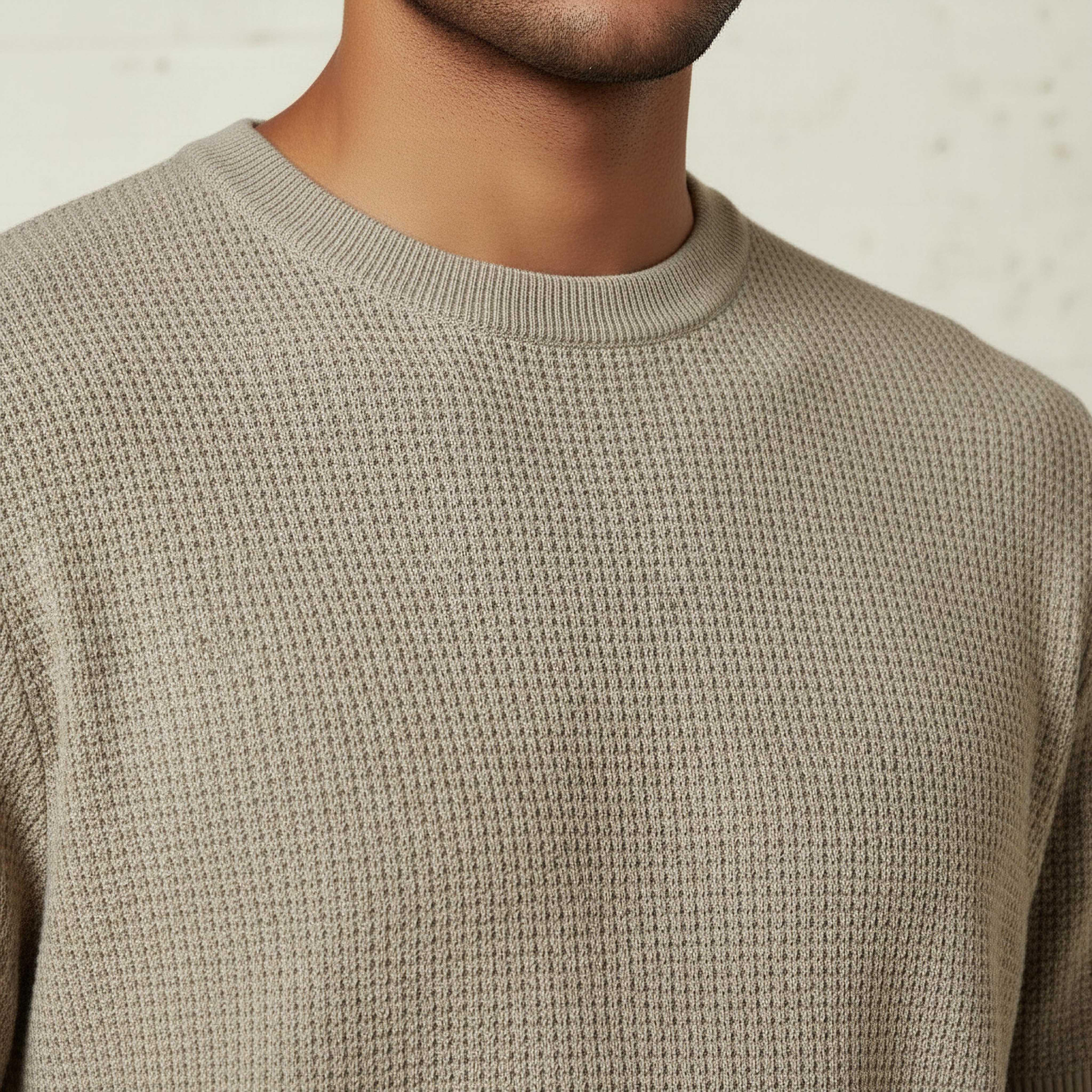 Men Regular Fit Crew Neck Short Sleeves Textured T-shirt-men-clothing-tshirtsandpolos-tshirts-image-4