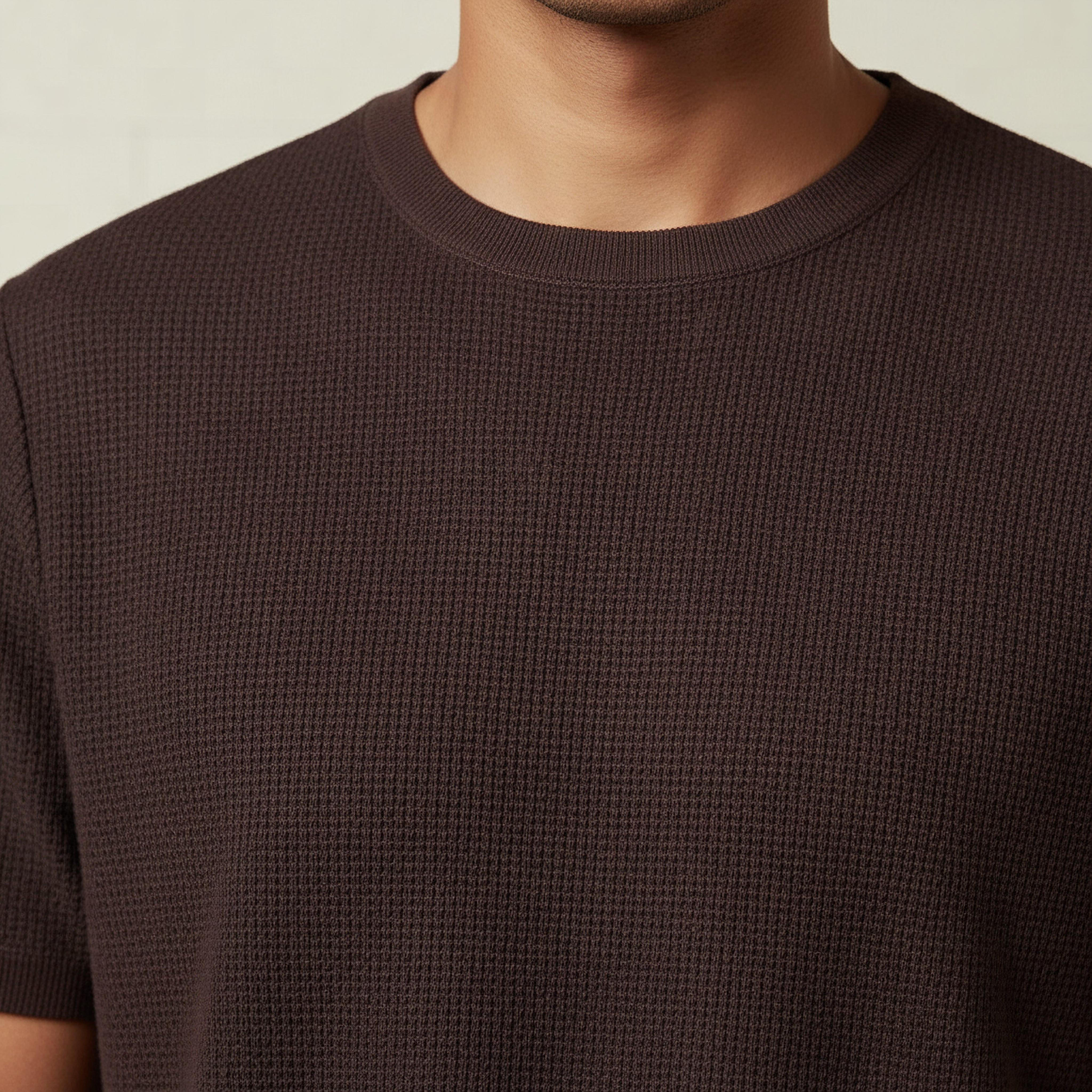 Men Regular Fit Crew Neck Short Sleeves Textured T-shirt-men-clothing-tshirtsandpolos-tshirts-image-4