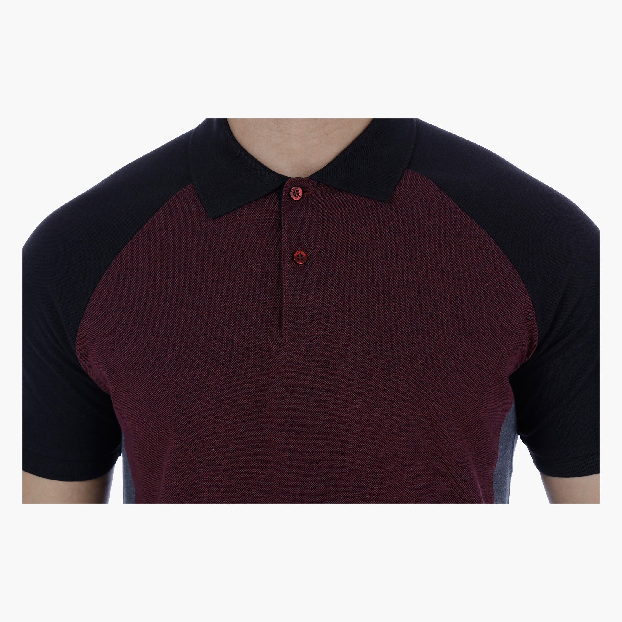 Cut and Sew Polo Neck T-Shirt with Short Sleeves-men-clothing-tshirtsandpolos-polos-image-4