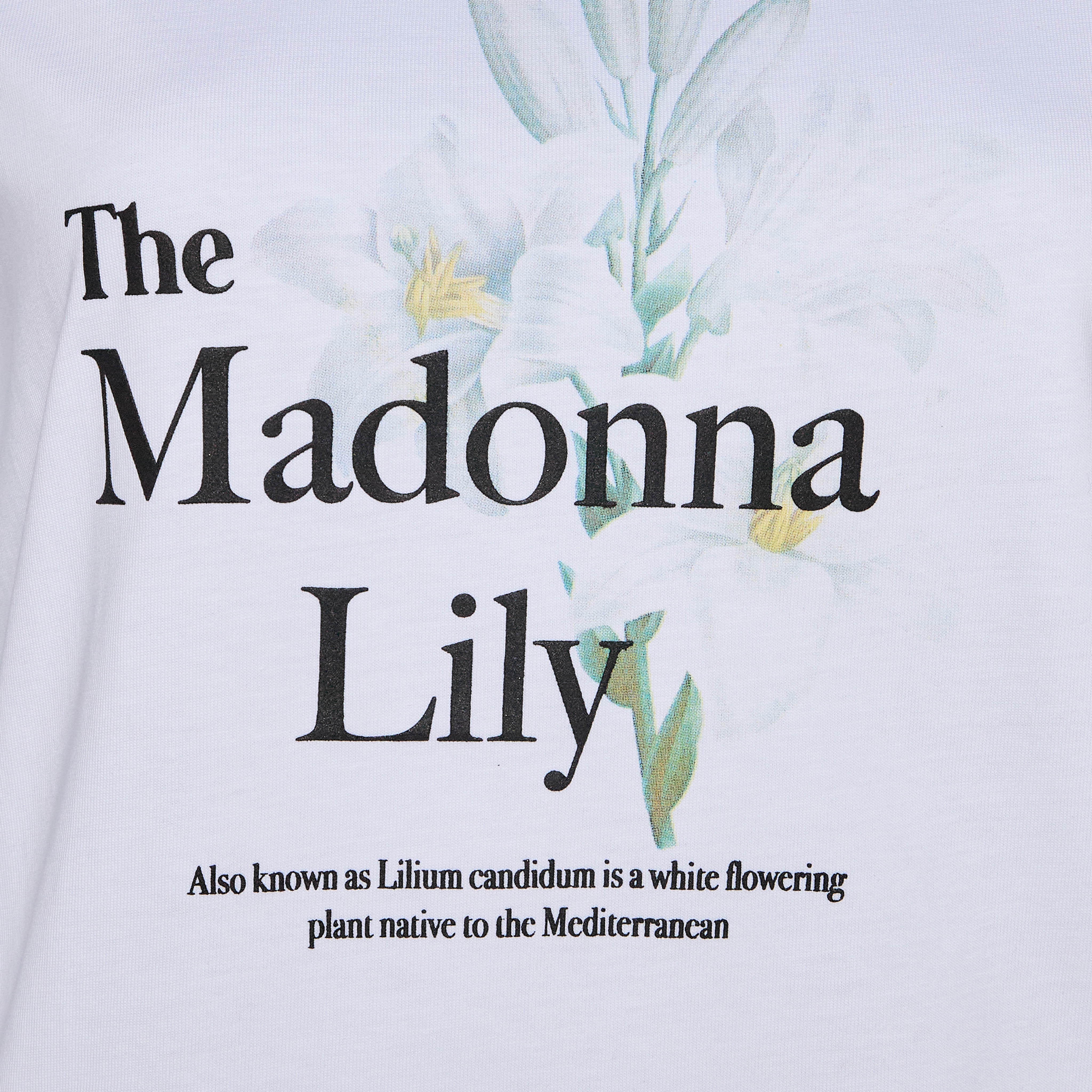 Cotton T-shirt with Floral Print-women-clothing-tshirts-image-2