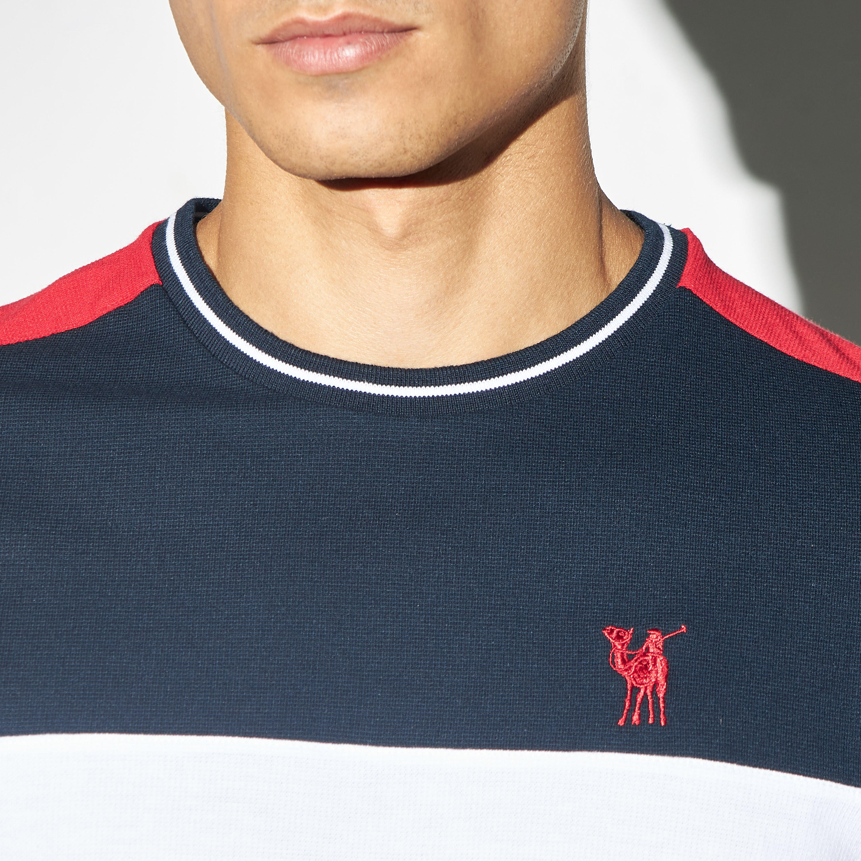 تيشيرت بقوالب ملوّنة وياقة ضيقة وأكمام قصيرة-men-clothing-tshirtsandpolos-tshirts-image-4
