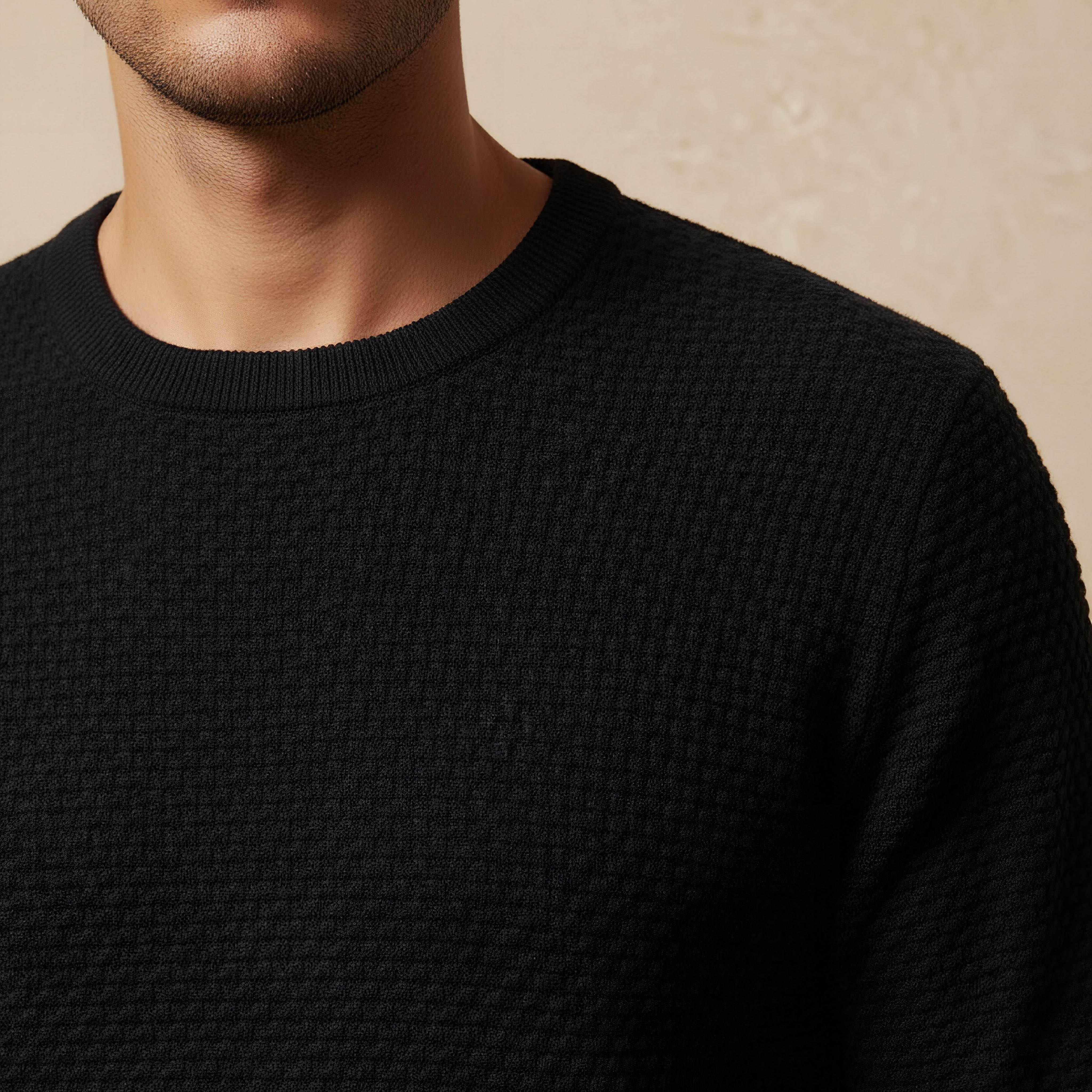 Men Crew Neck Textured Sweater-men-clothing-sweatersandpullovers-image-4