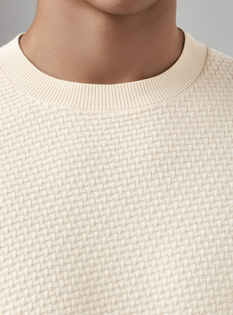 Men Crew Neck Textured Sweater-men-clothing-sweatersandpullovers-image-3