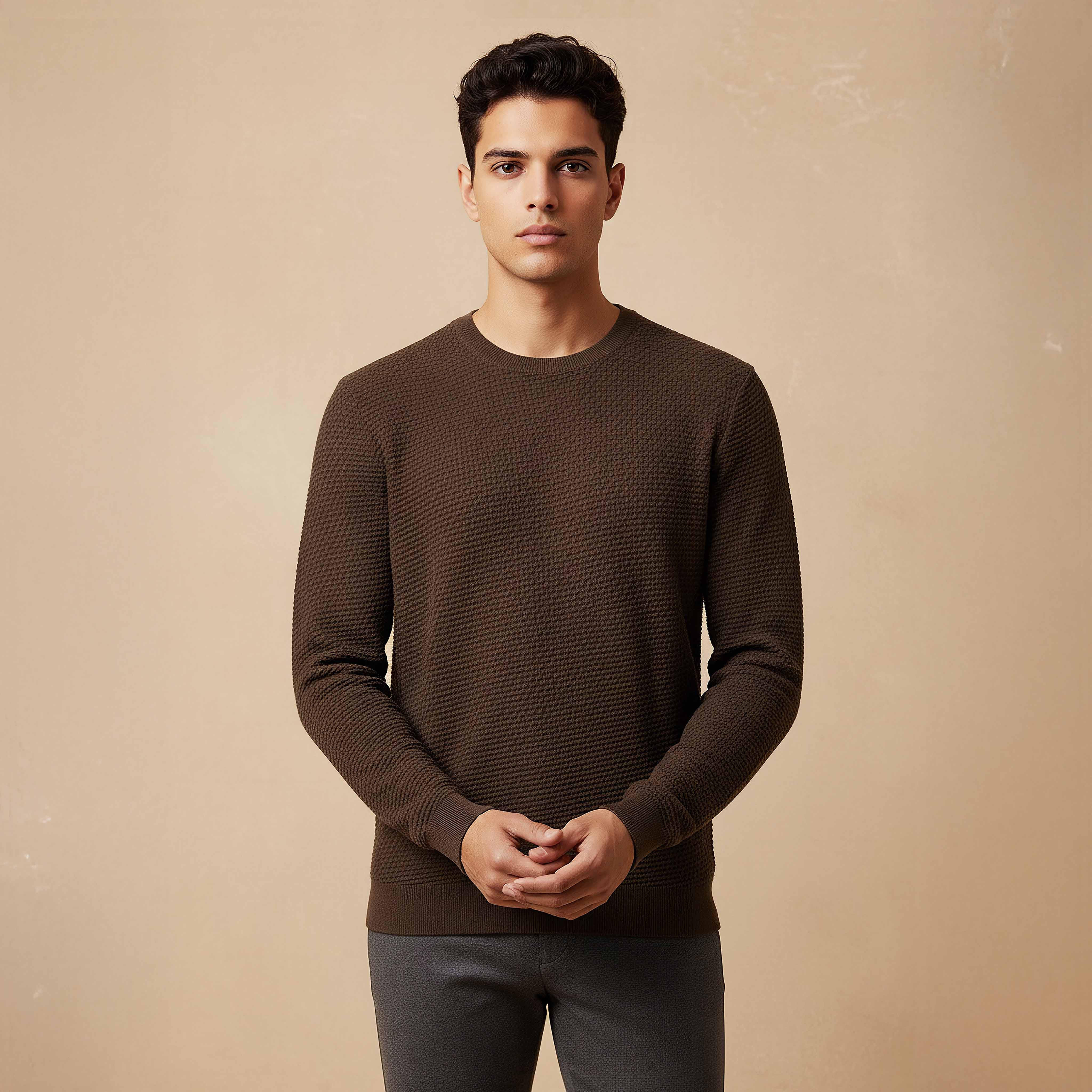Men Crew Neck Textured Sweater-men-clothing-sweatersandpullovers-image-1