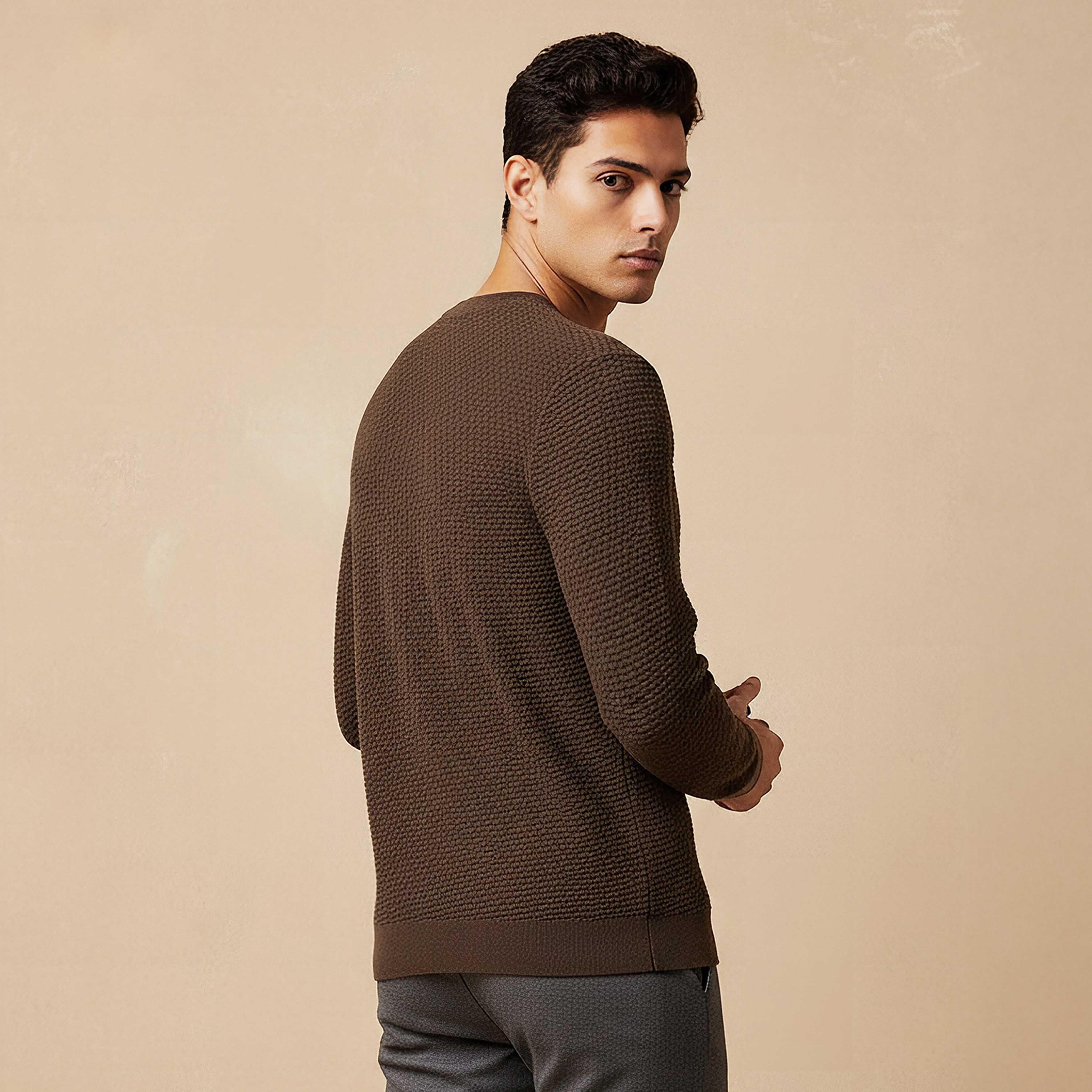 Men Crew Neck Textured Sweater-men-clothing-sweatersandpullovers-image-3