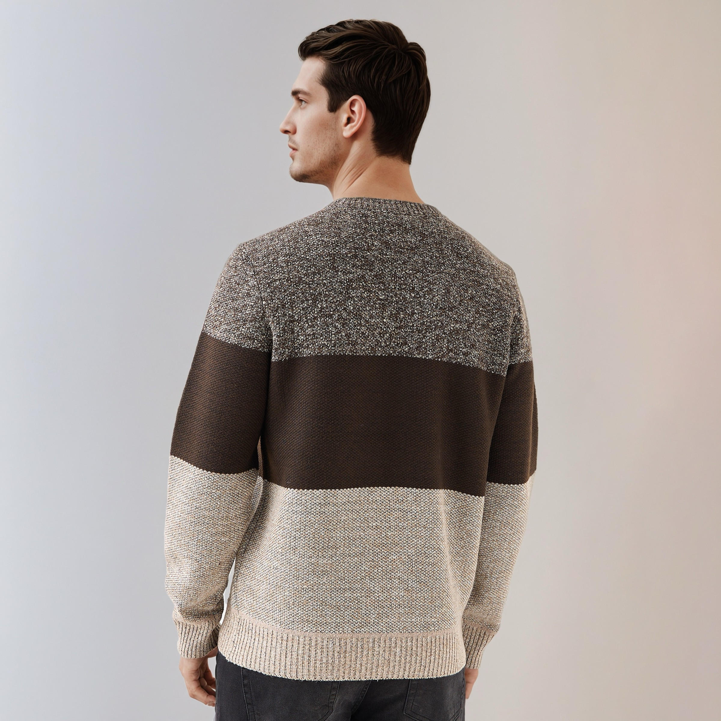 Men Crew Neck Striped Sweater-men-clothing-sweatersandpullovers-image-4