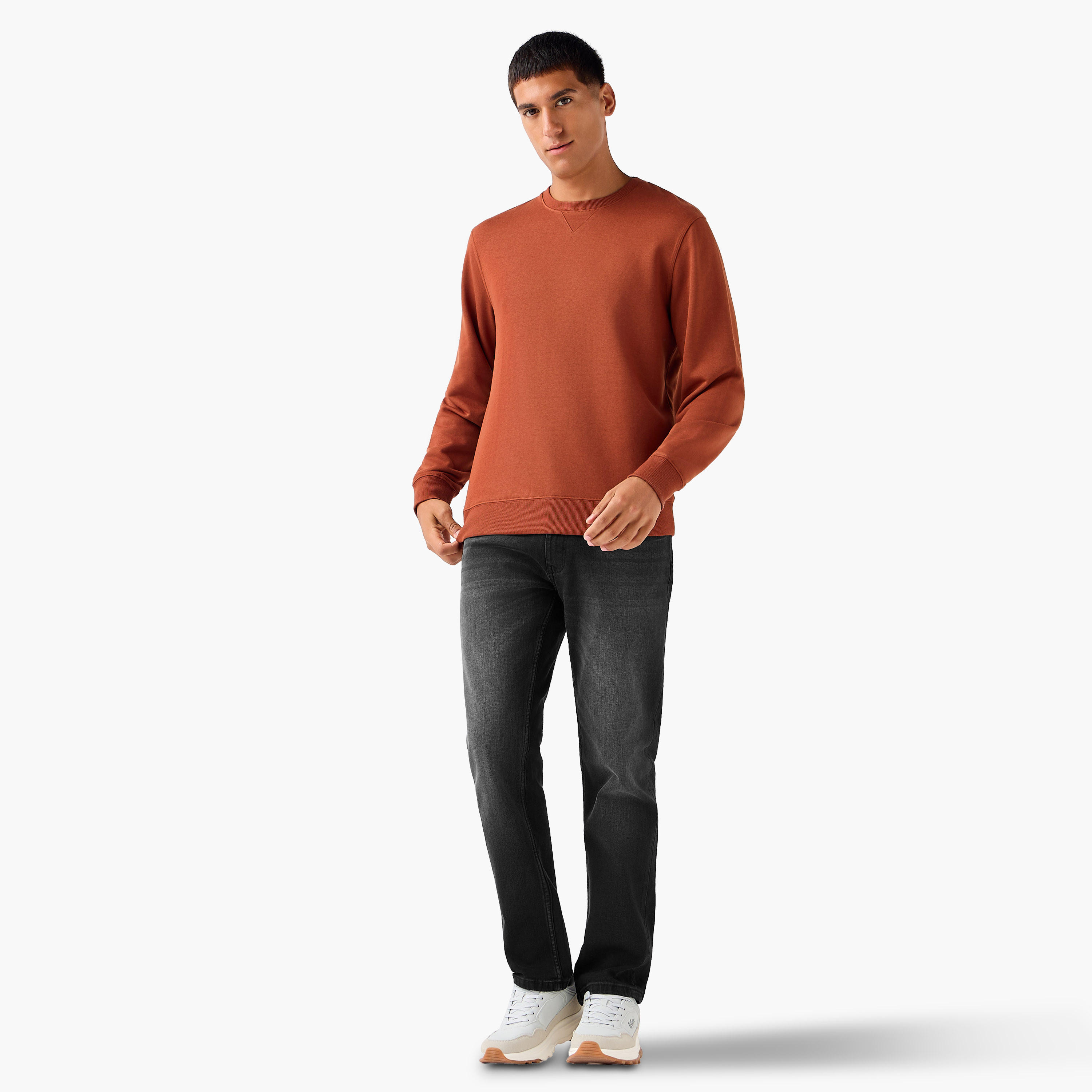 Men Crew Neck Sweatshirt-men-winterwear-hoodiesandsweatshirts-image-5