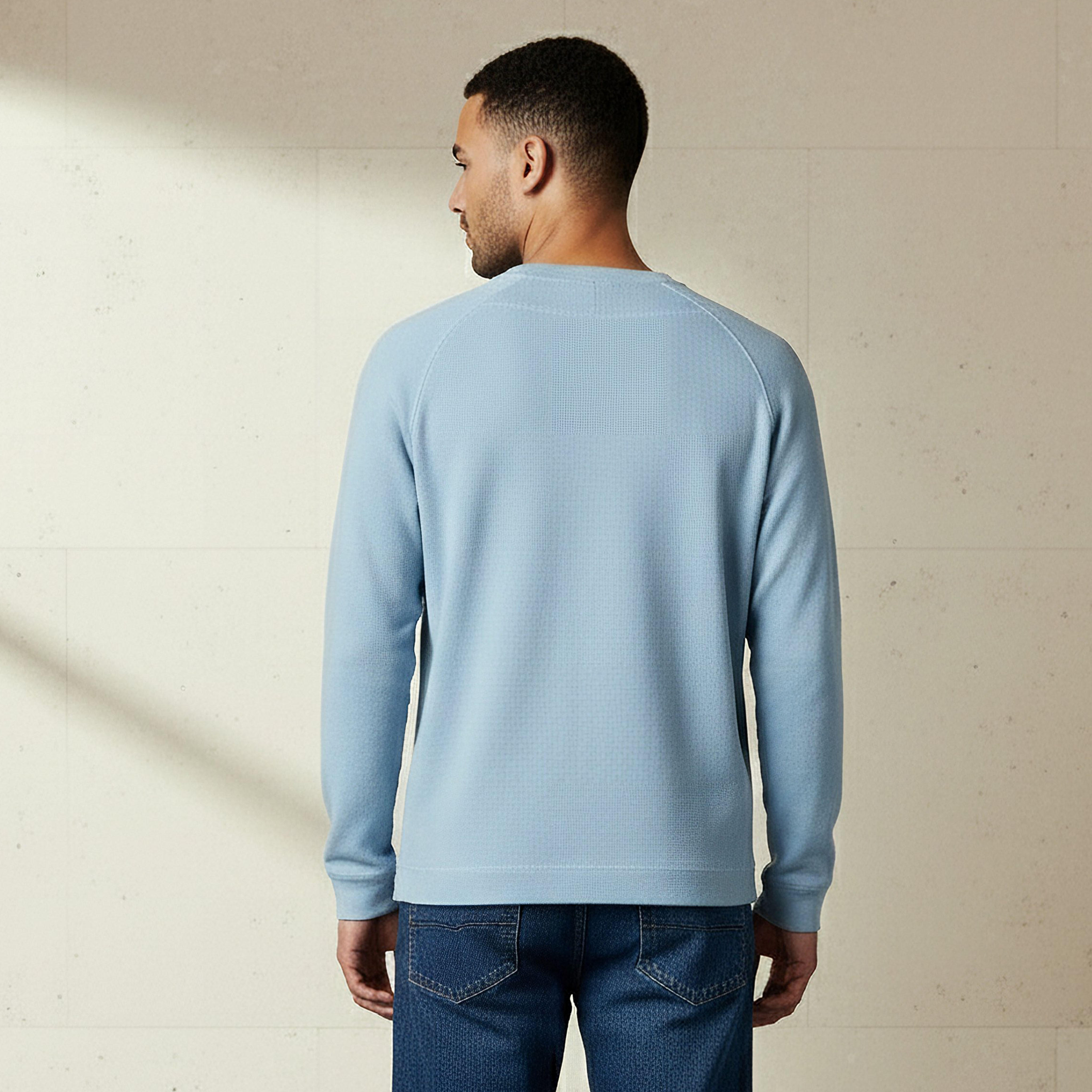 Men Regular Fit Crew Neck Long Sleeve Textured T-shirt-men-clothing-tshirtsandpolos-tshirts-image-3
