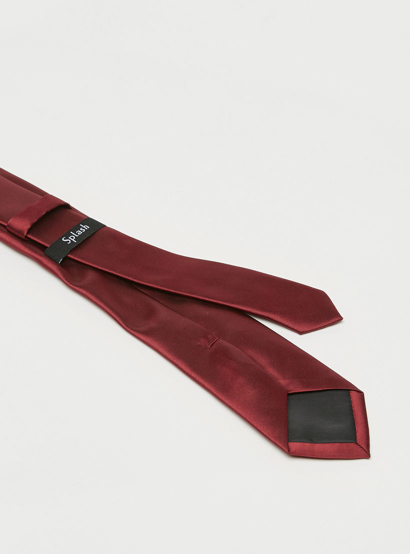 ربطة عنق سادة بحلقة تثبيت-men-tiesandcufflinks-pocketsquares-image-1