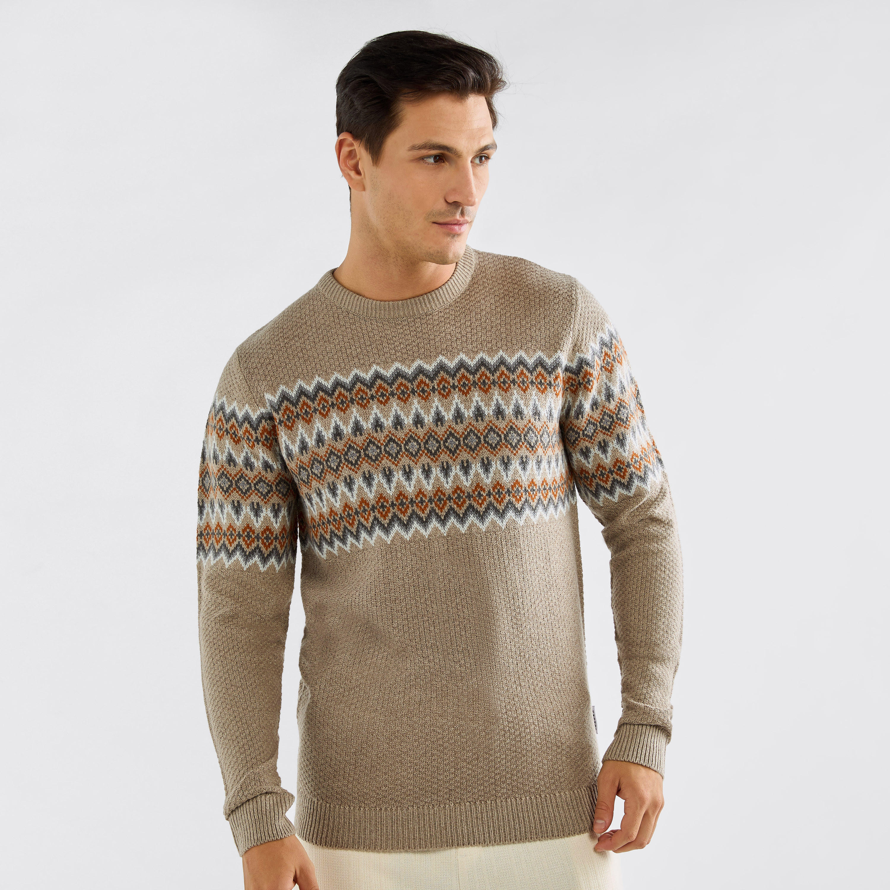 Textured Crew Neck Sweater with Long Sleeves-men-clothing-sweatersandpullovers-image-4