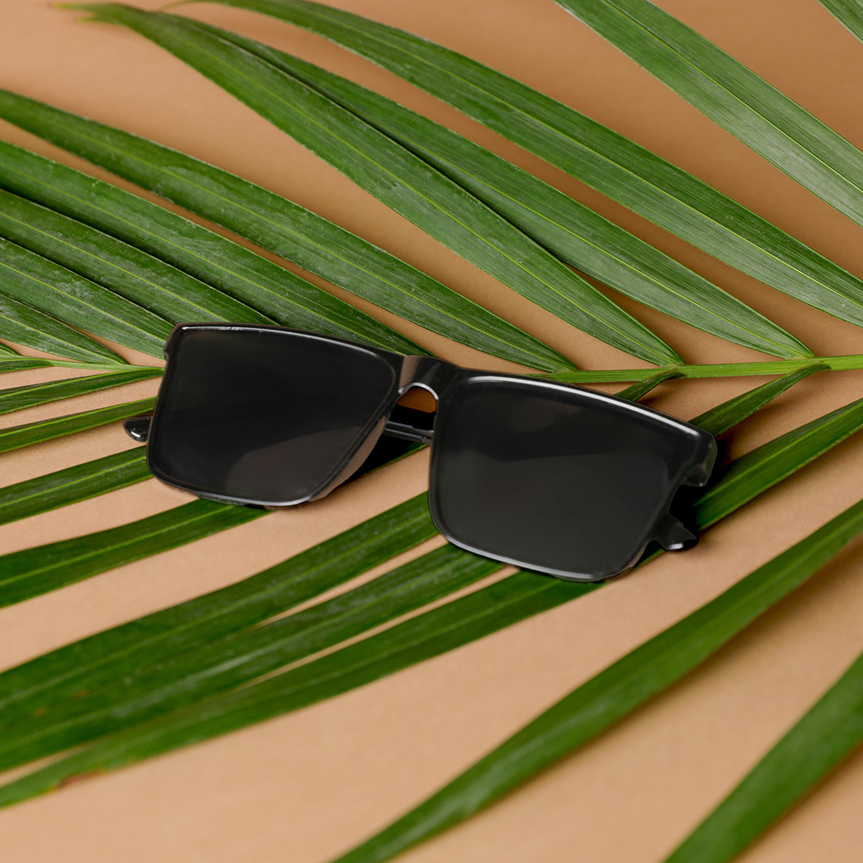نظّارة شمسية بإطار كامل ووسادات أنف من زاس-men-sunglasses-image-2