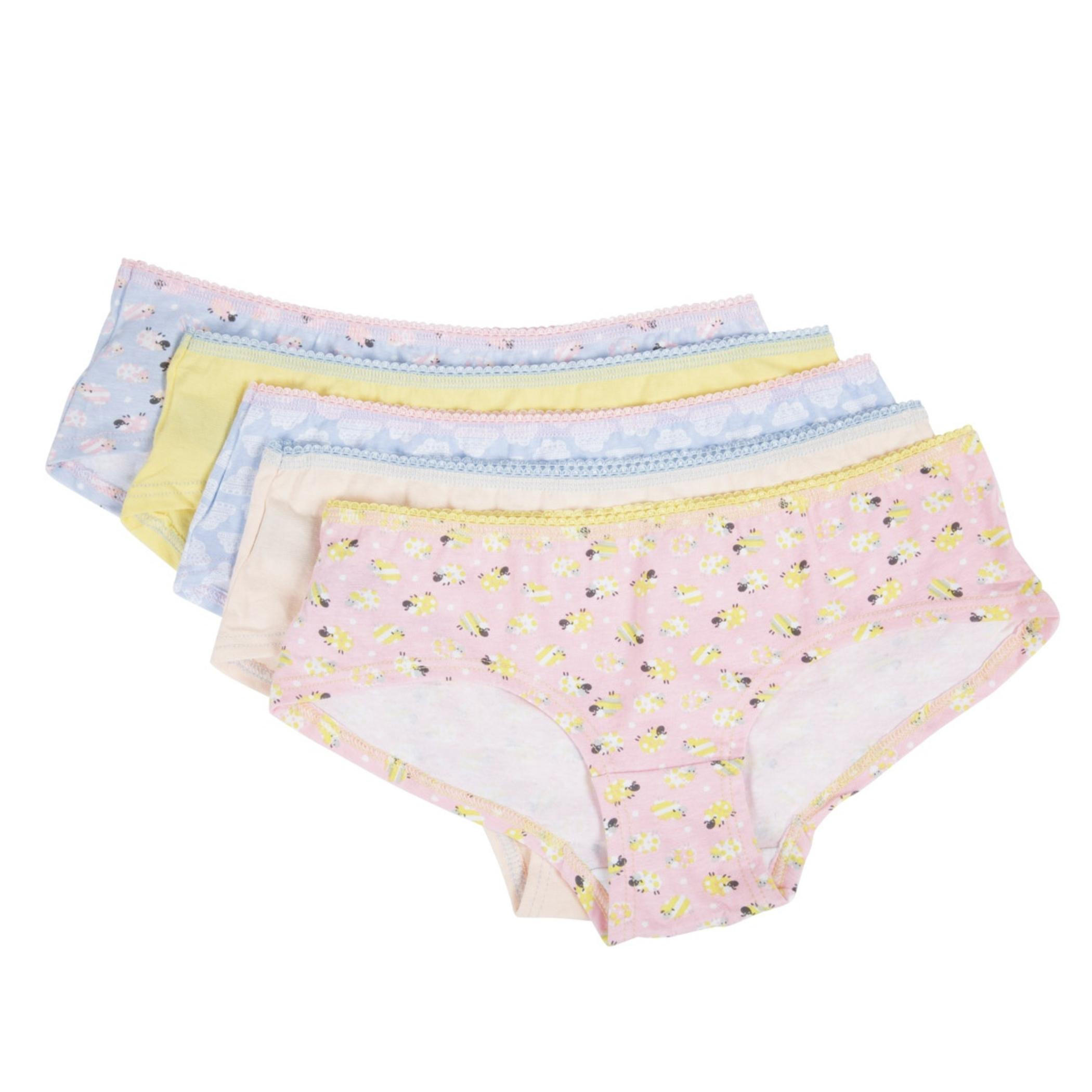 Briefs - Pack of 5-women-clothing-lingerie-panties-image-1