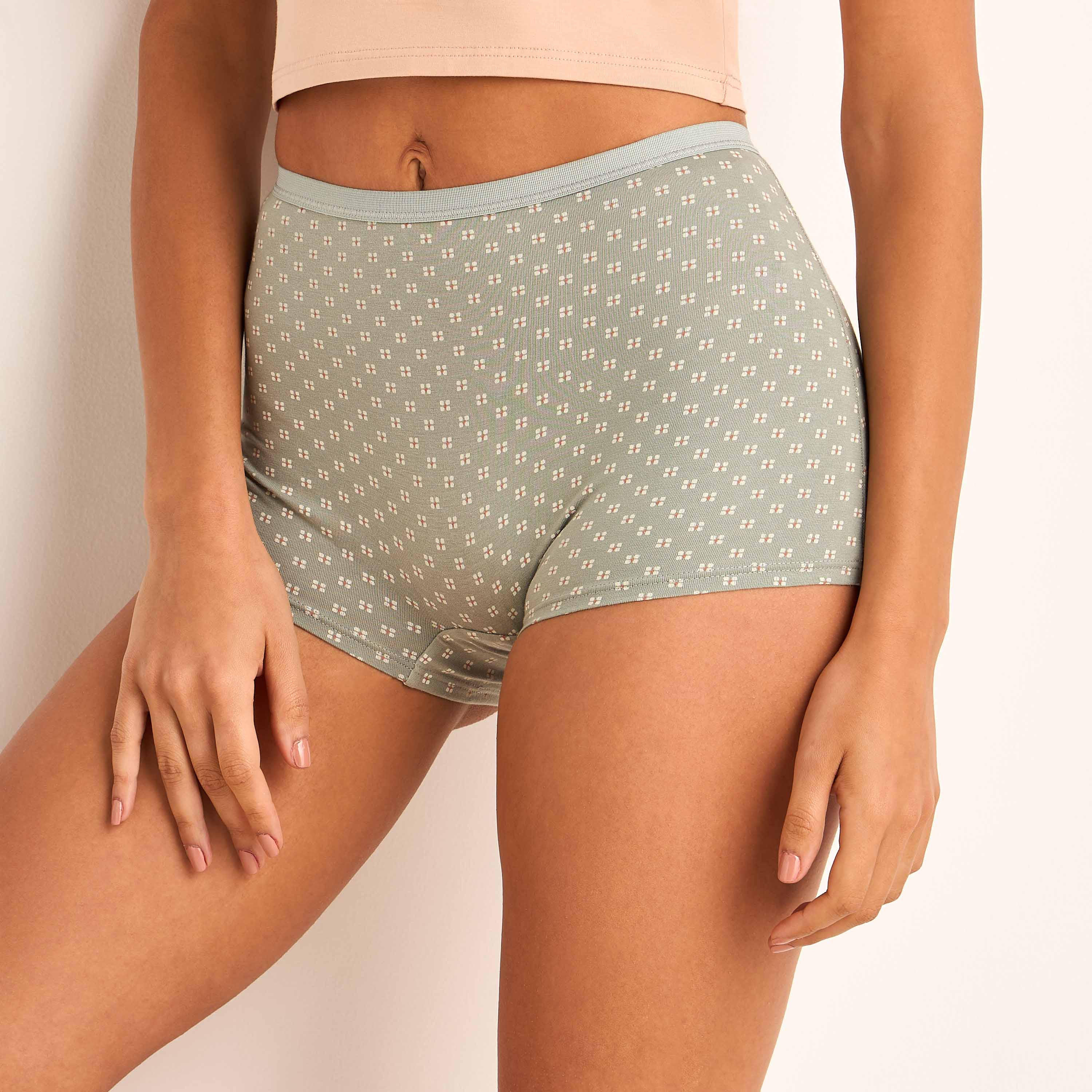 Set of 5 - Boyshort Briefs with Assorted Design-women-clothing-lingerie-panties-image-8