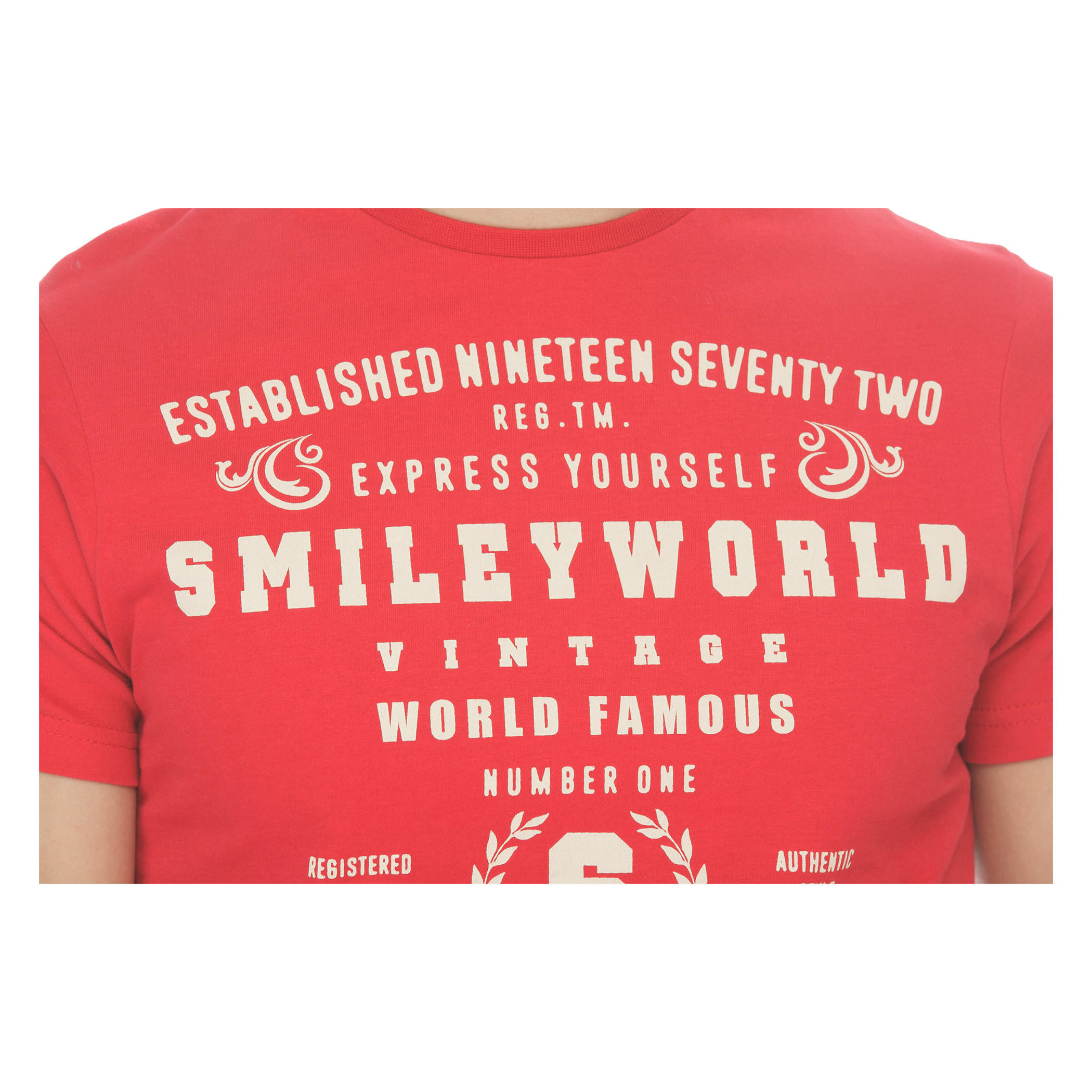 Smiley World Crew Neck T-shirt-men-clothing-tshirtsandpolos-tshirts-image-4