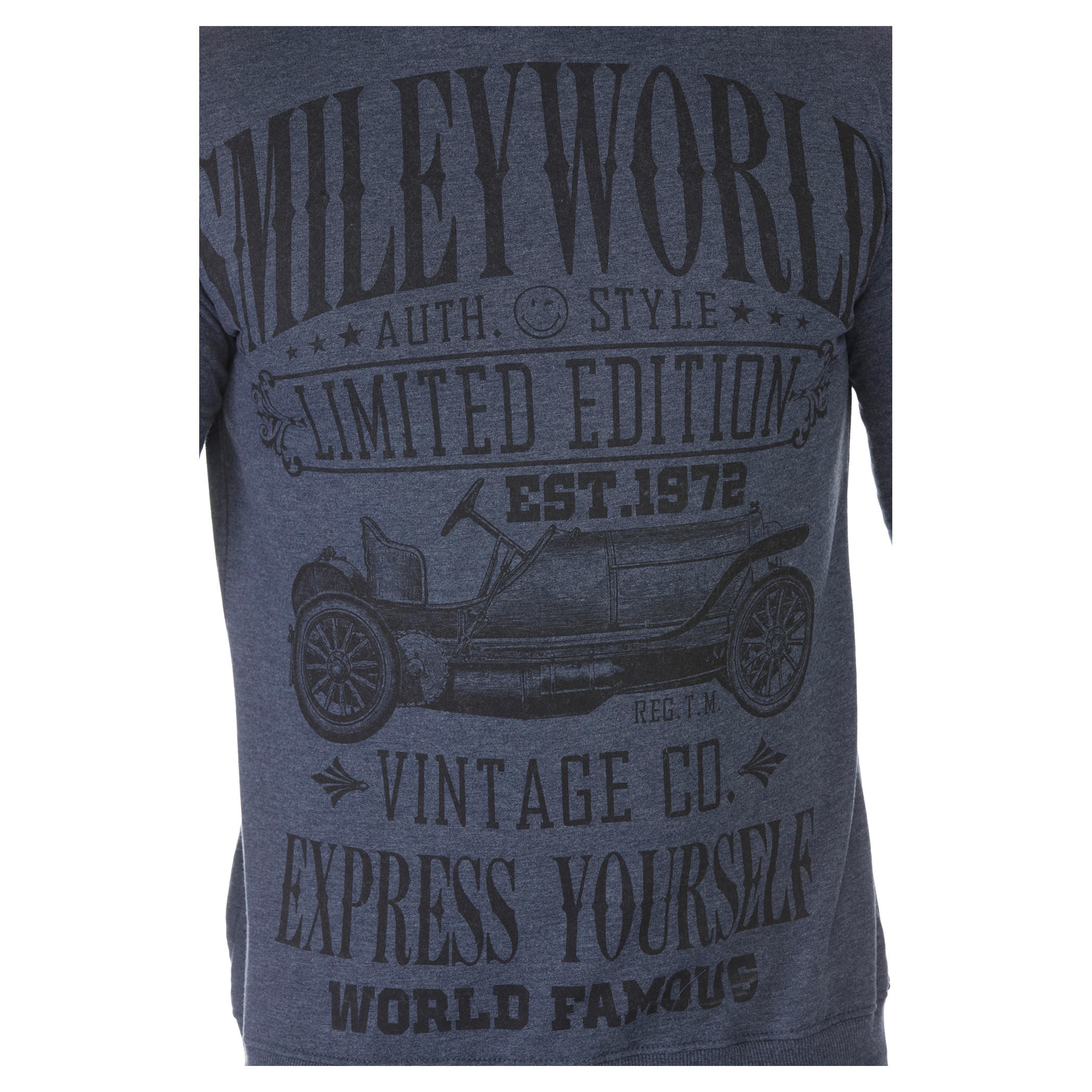 Smiley World Hooded Sweatshirt-men-winterwear-hoodiesandsweatshirts-image-4