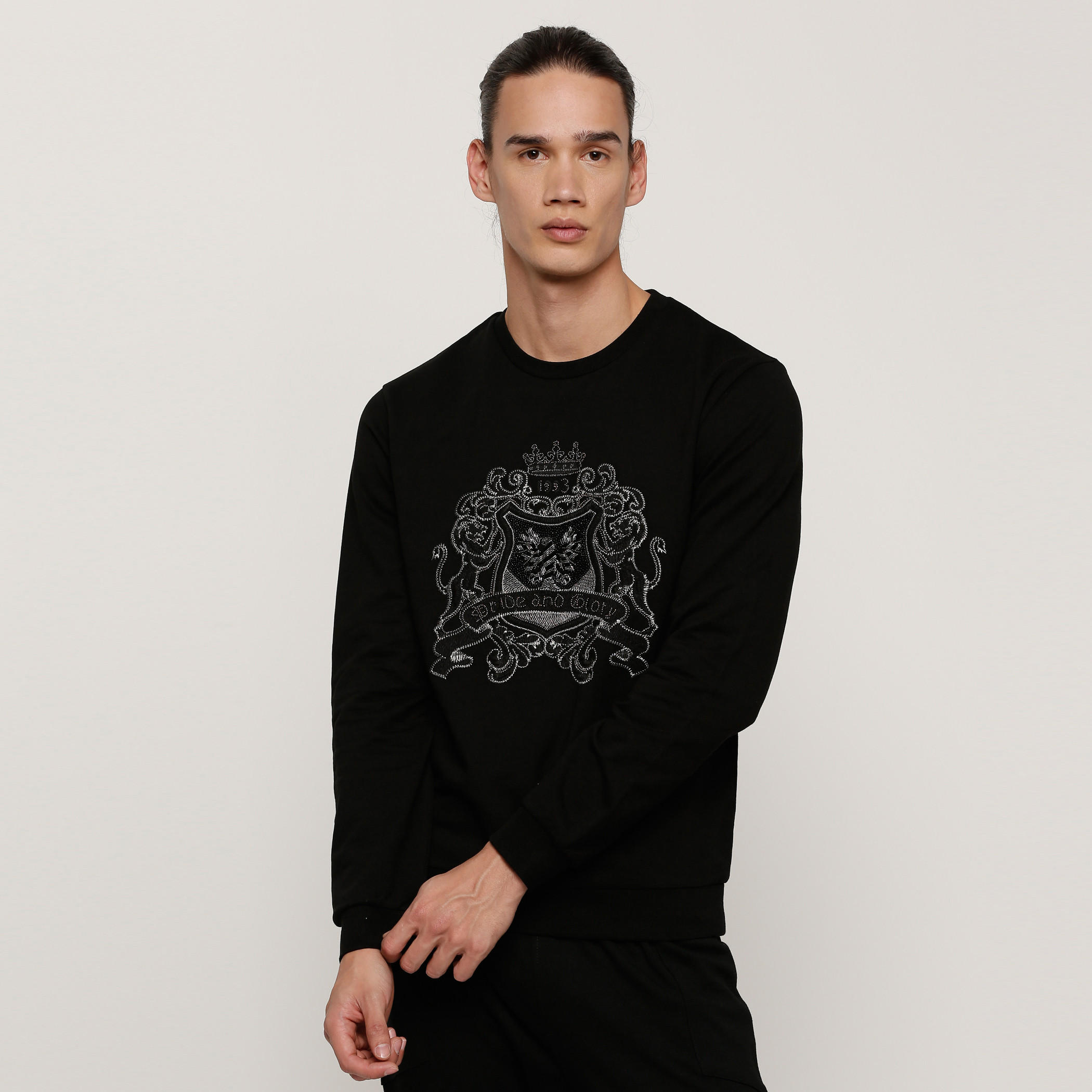 سويت شيرت مزيّن بياقة مستديرة وأكمام طويلة-men-clothing-sweatersandpullovers-image-1