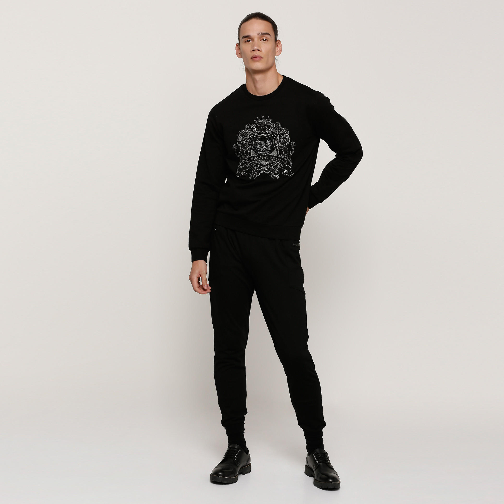 سويت شيرت مزيّن بياقة مستديرة وأكمام طويلة-men-clothing-sweatersandpullovers-image-5