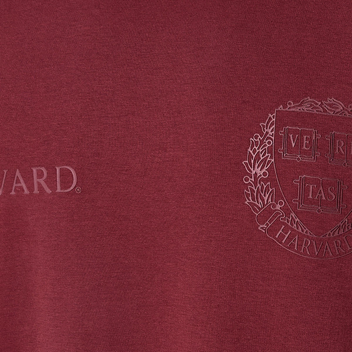 Harvard University Regular Fit Crew Neck Short Sleeves T-shirt-men-clothing-tshirtsandpolos-tshirts-image-2