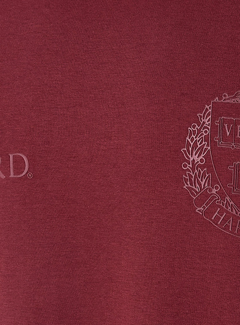 Harvard University Regular Fit Crew Neck Short Sleeves T-shirt-men-clothing-tshirtsandpolos-tshirts-image-2