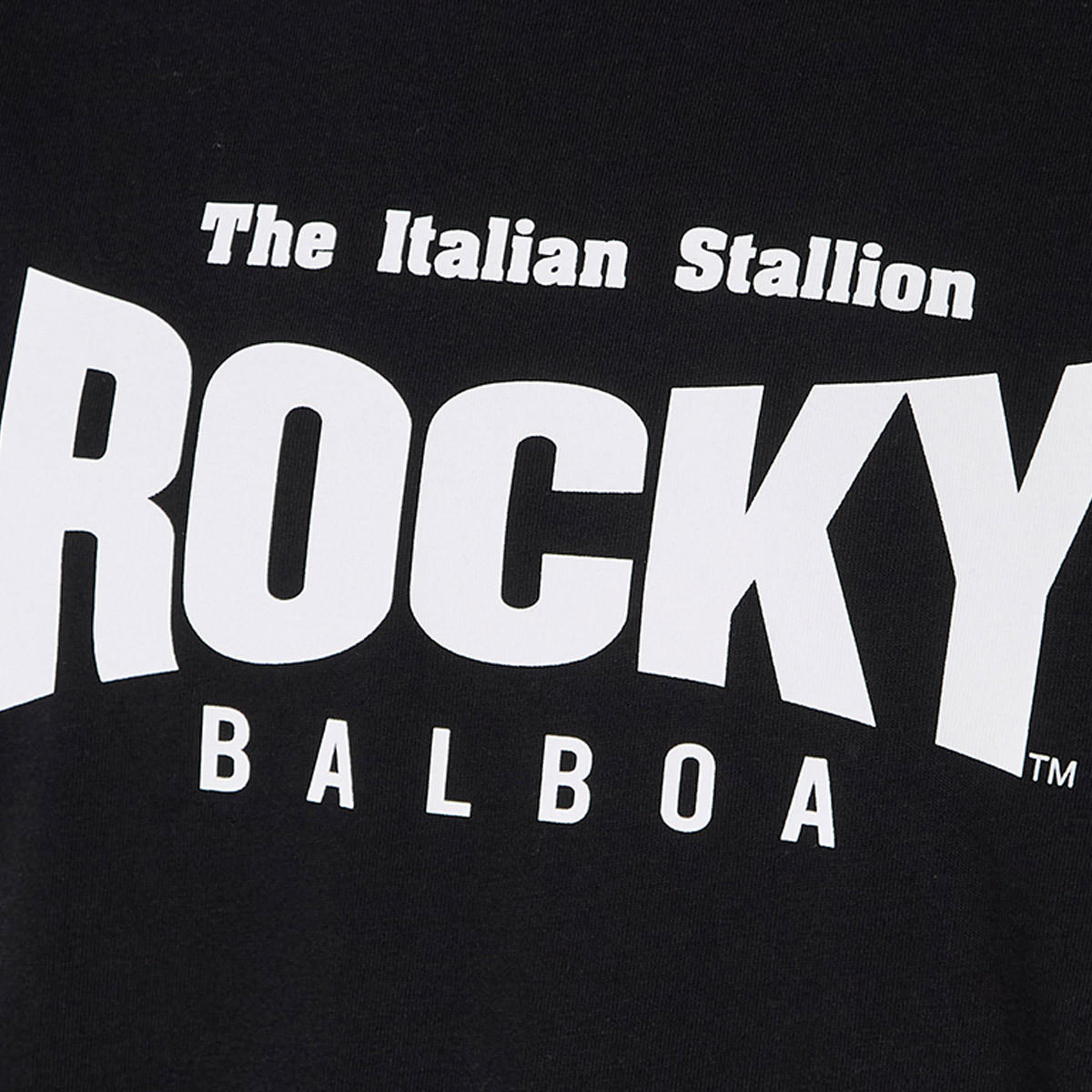 Rocky Balboa Regular Fit Crew Neck Short Sleeves T-shirt-men-clothing-tshirtsandpolos-tshirts-image-2