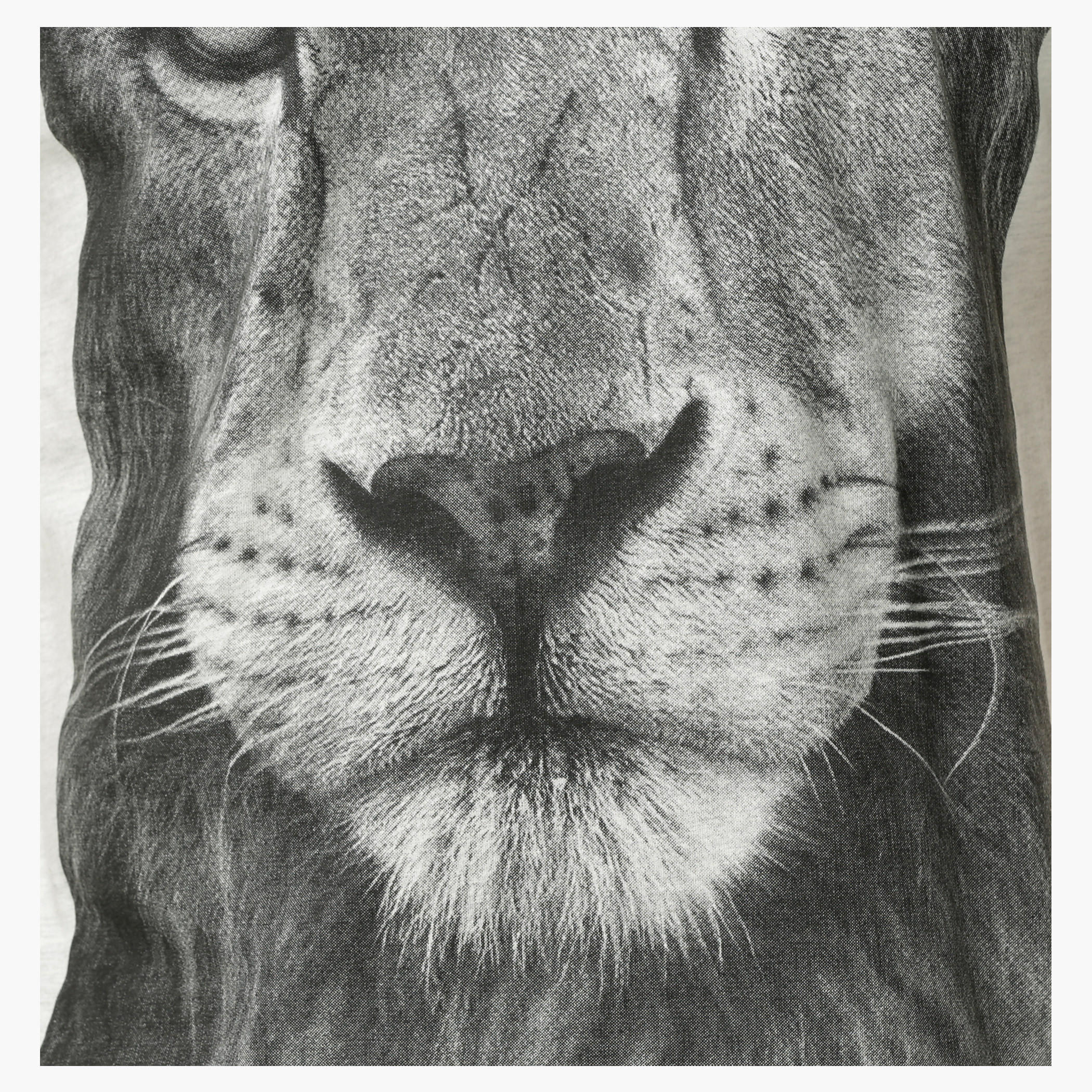 Printed Crew Neck T-Shirt with Short Sleeves-men-clothing-tshirtsandpolos-tshirts-image-4
