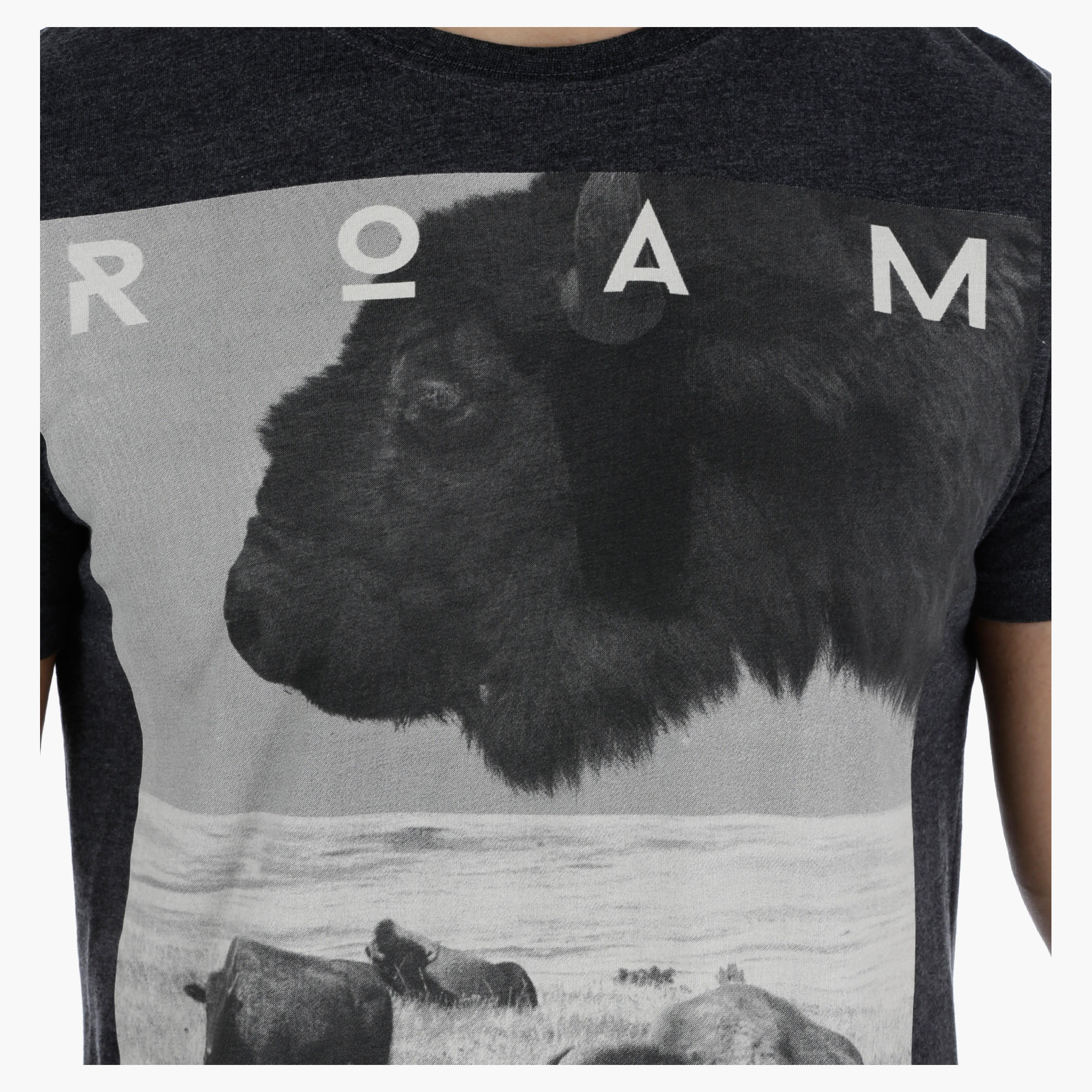 Animal Planet Printed T-Shirt with Short Sleeves-men-clothing-tshirtsandpolos-tshirts-image-4