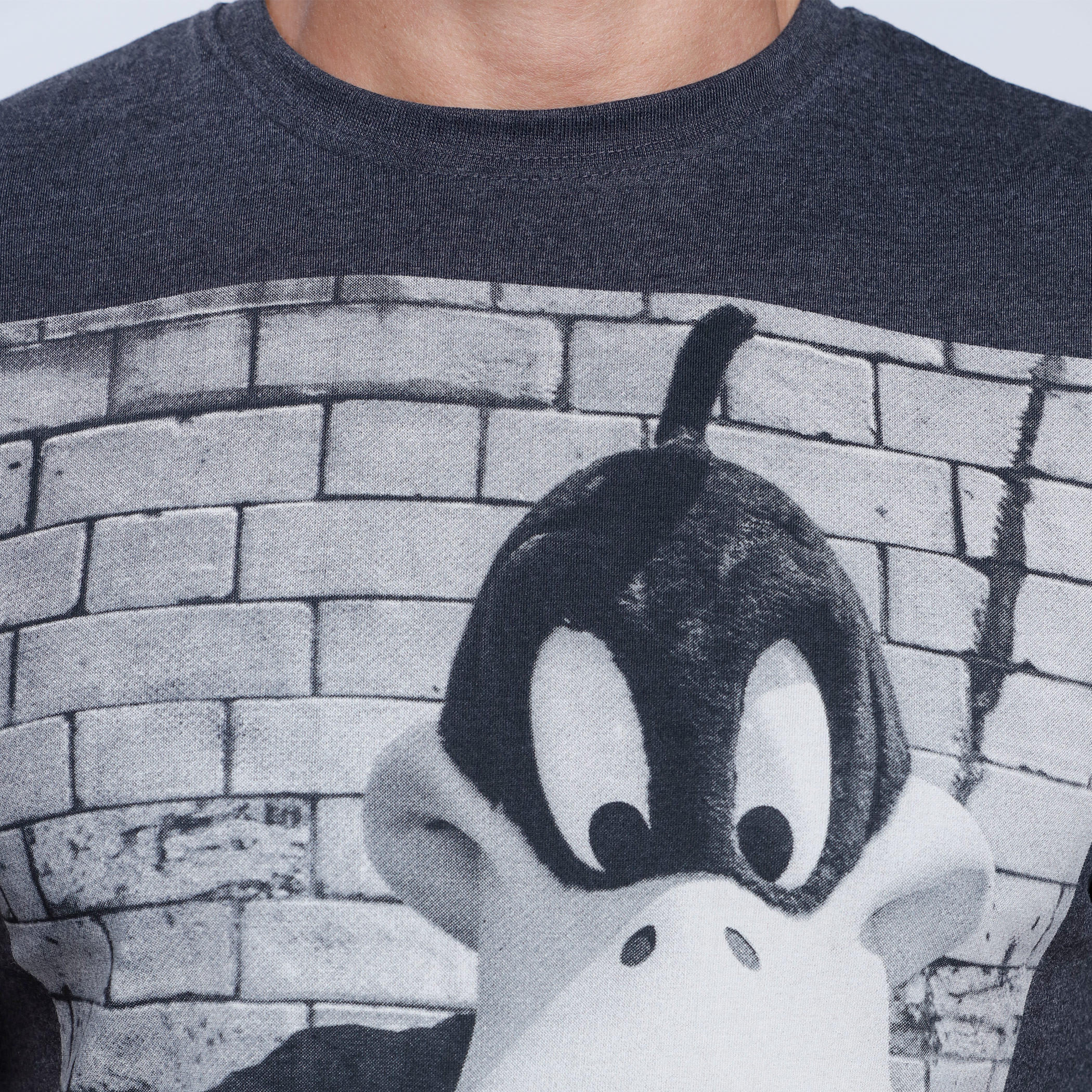 Daffy Duck Printed Short Sleeves T-Shirt with Round Neckline-men-clothing-tshirtsandpolos-tshirts-image-4
