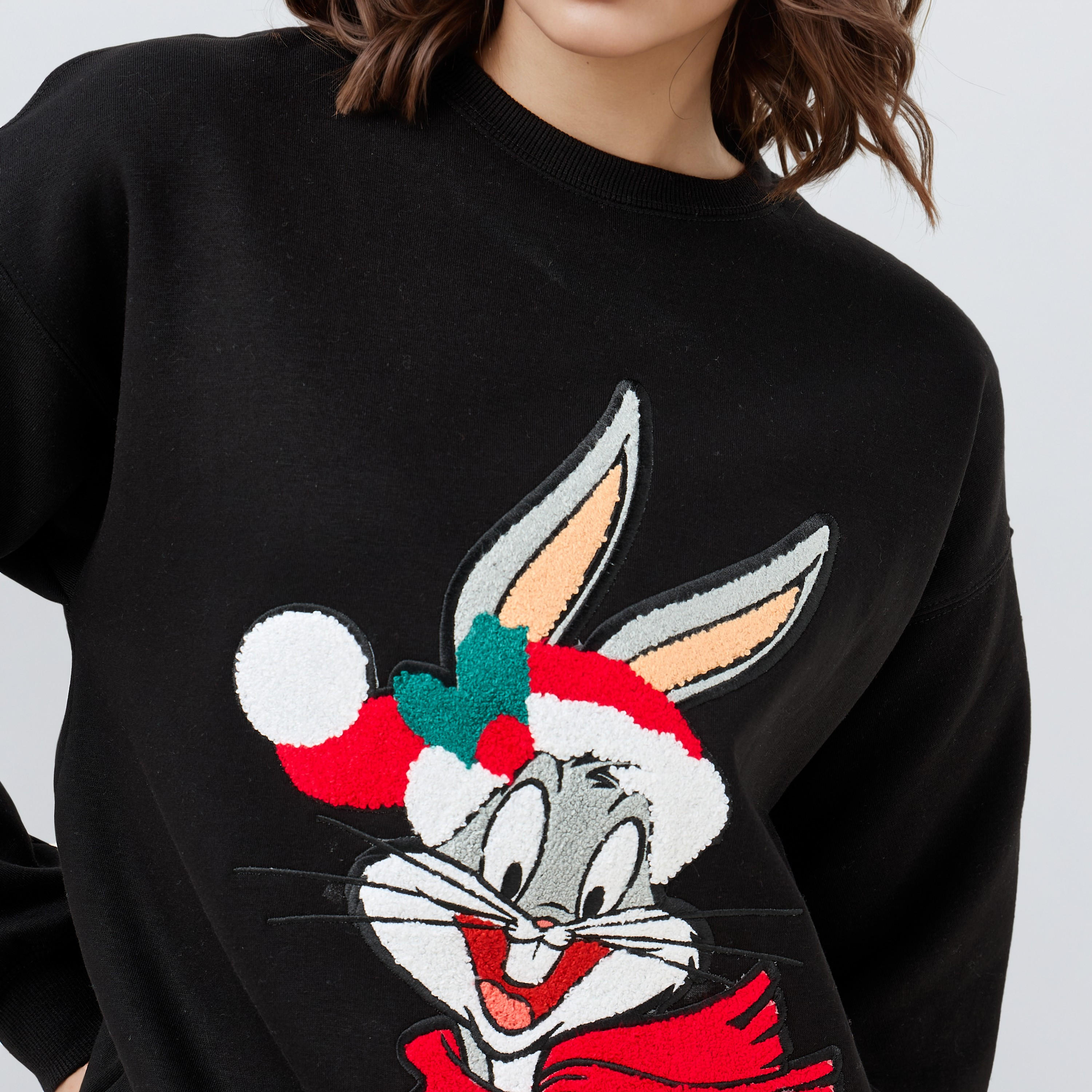 سويت شيرت فضفاض بتطريزات لوني تونز-women-winterwear-hoodiesandsweatshirts-sweatshirts-image-1