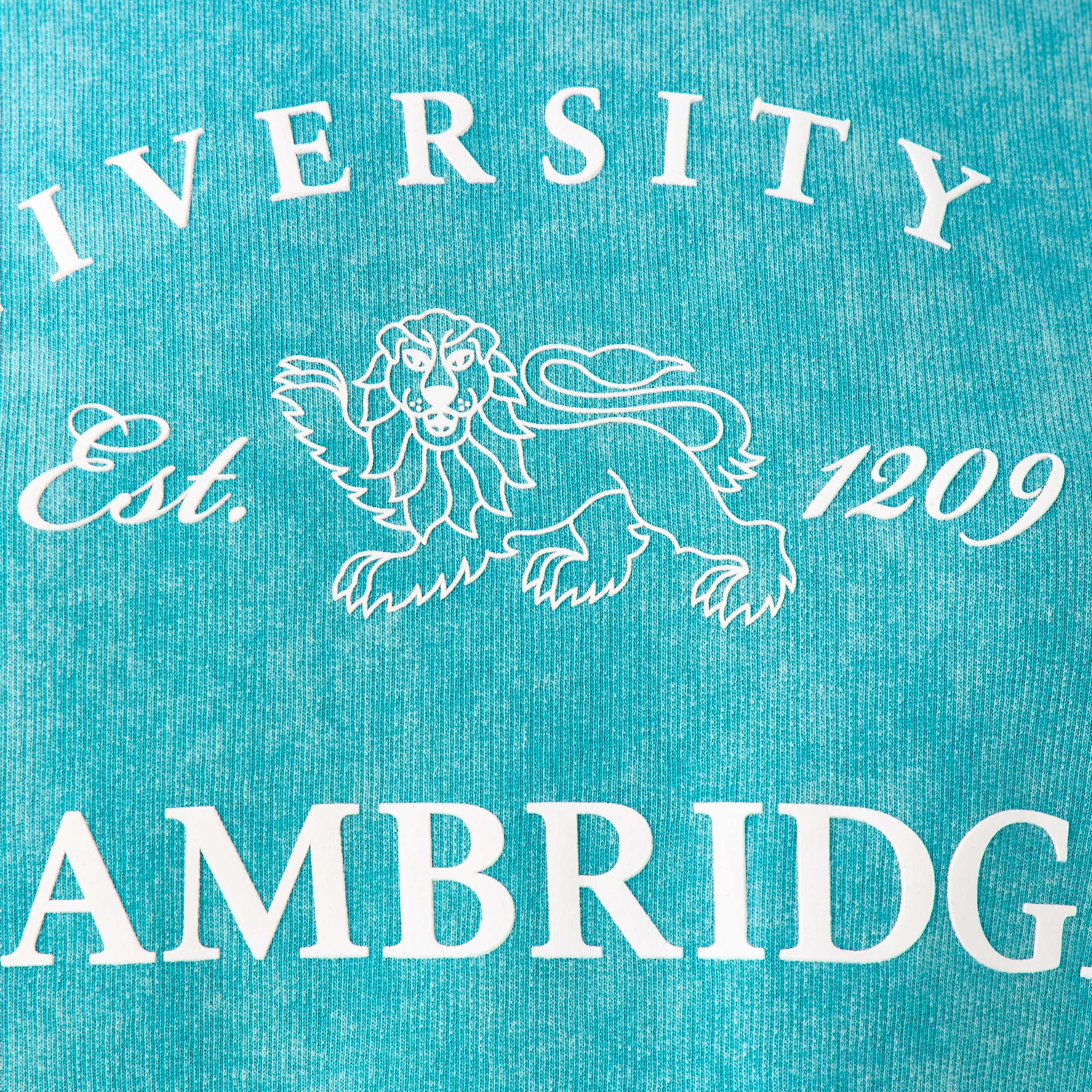 Cambridge University Oversized Cotton Washed T-shirt-women-clothing-tshirts-image-6