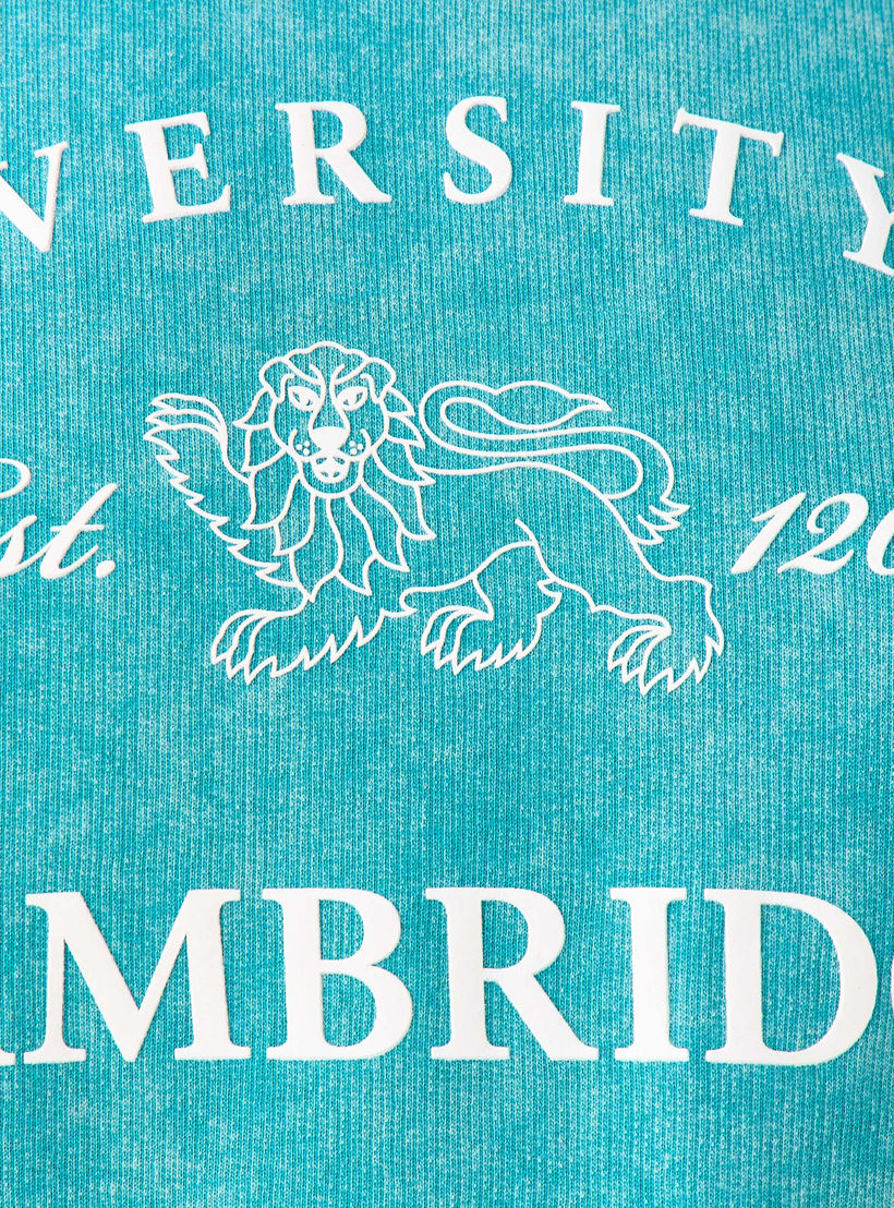 Cambridge University Oversized Cotton Washed T-shirt-women-clothing-tshirts-image-6
